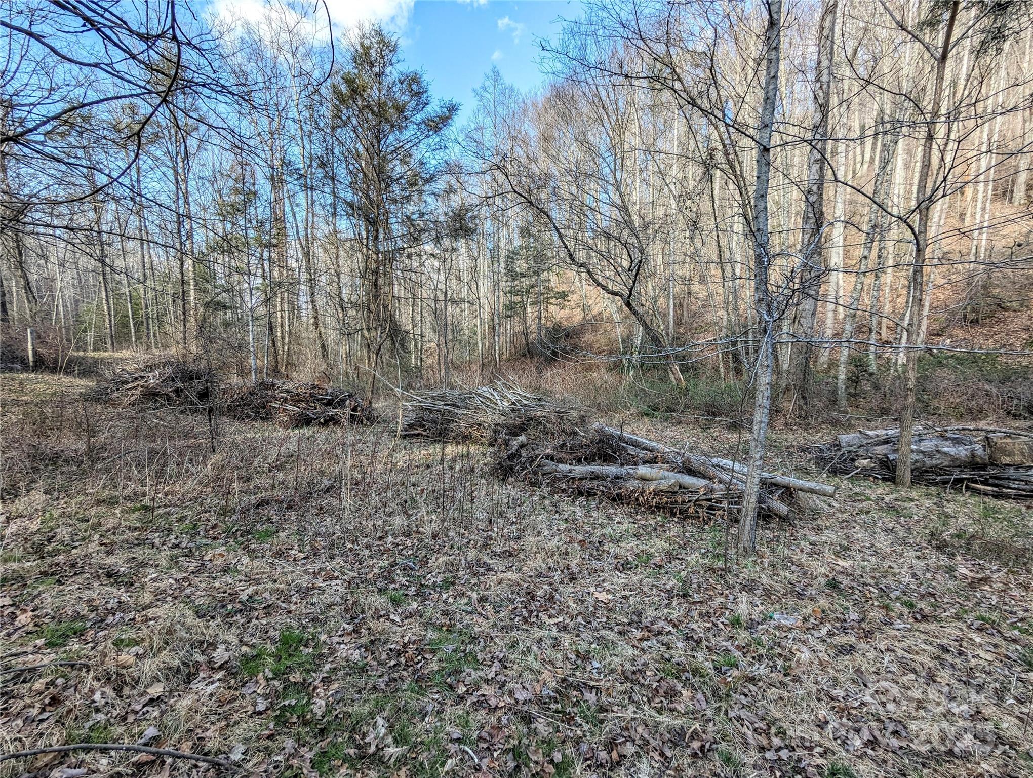 99999 Christian Creek Road Property Photo 5