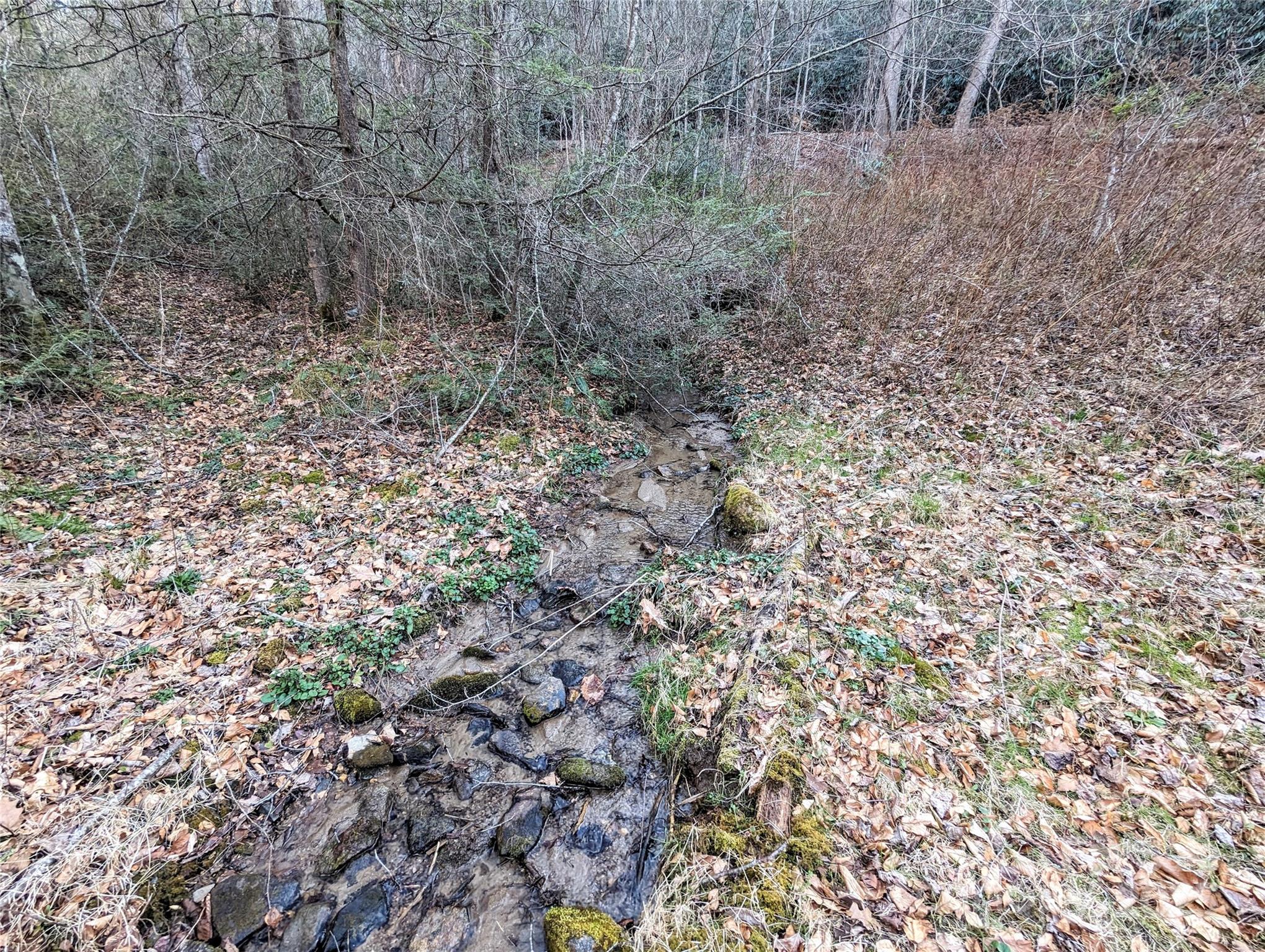 99999 Christian Creek Road Property Photo 6
