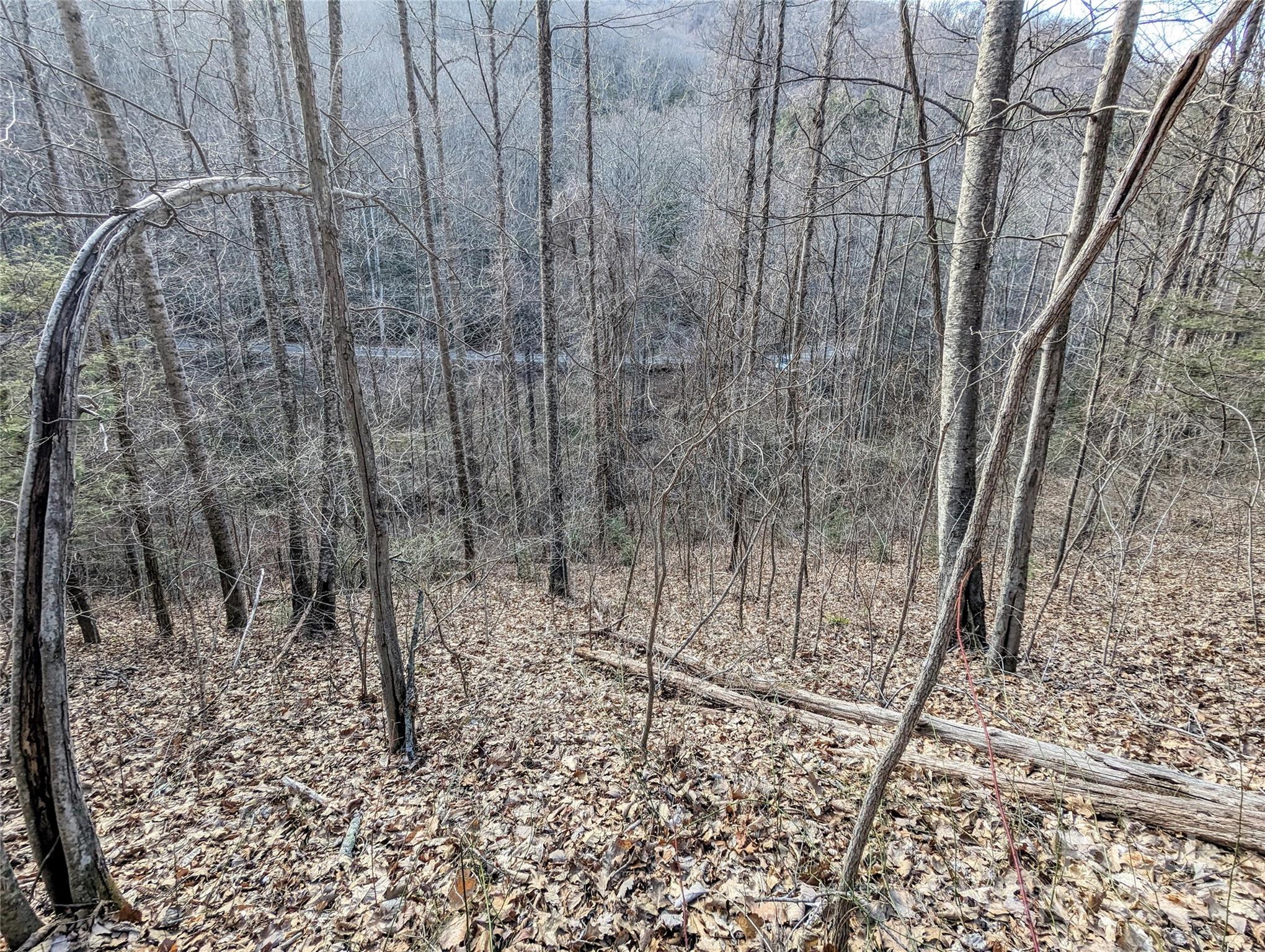 99999 Christian Creek Road Property Photo 8