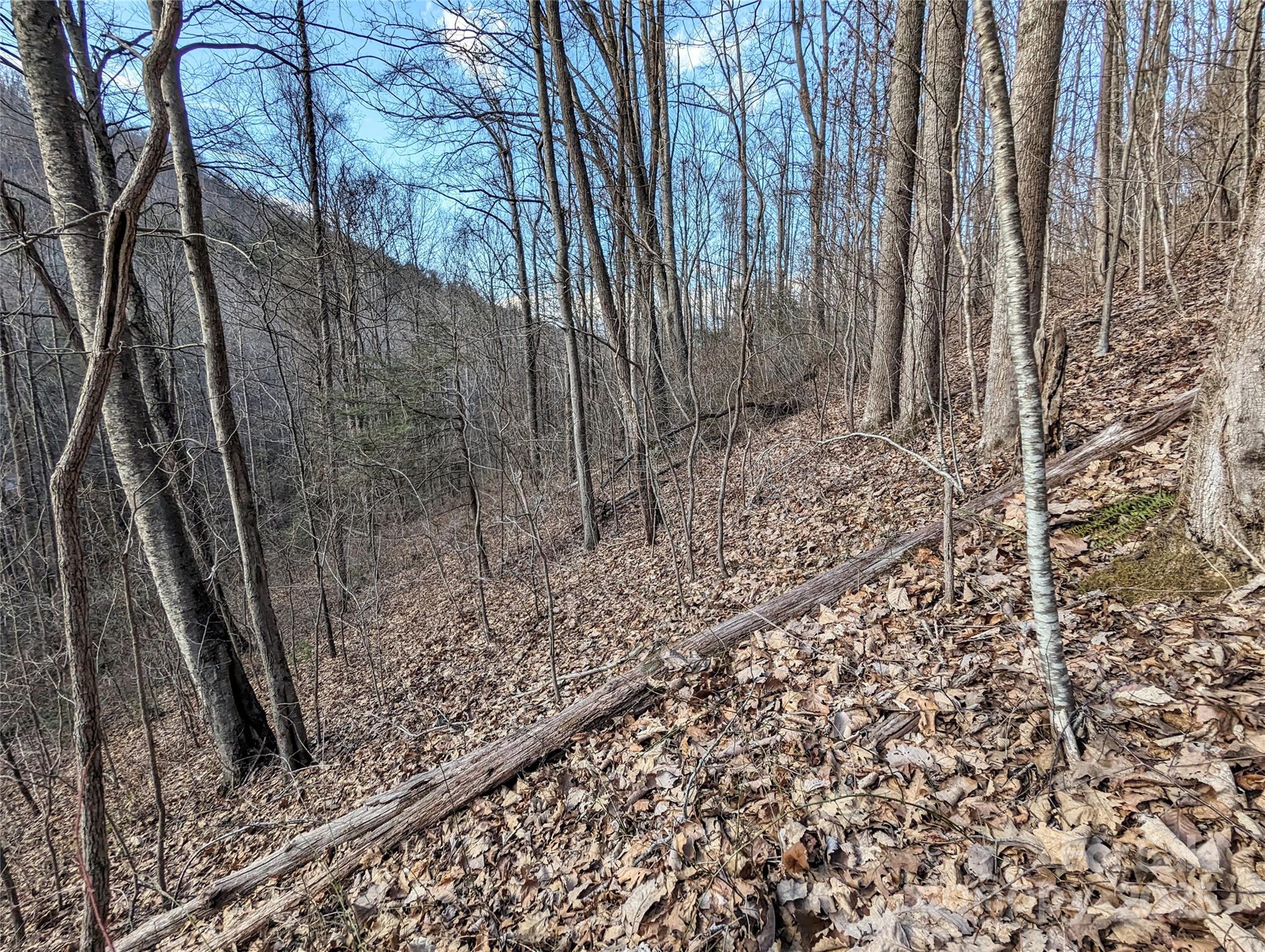 99999 Christian Creek Road Property Photo 9