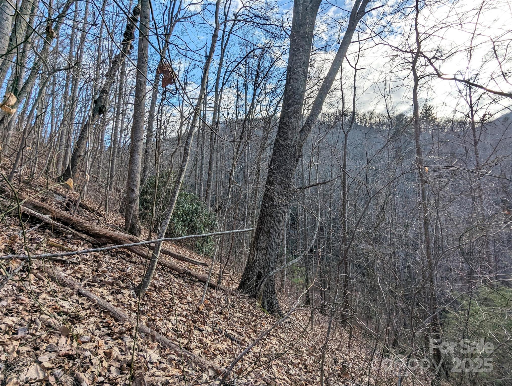 99999 Christian Creek Road Property Photo 10