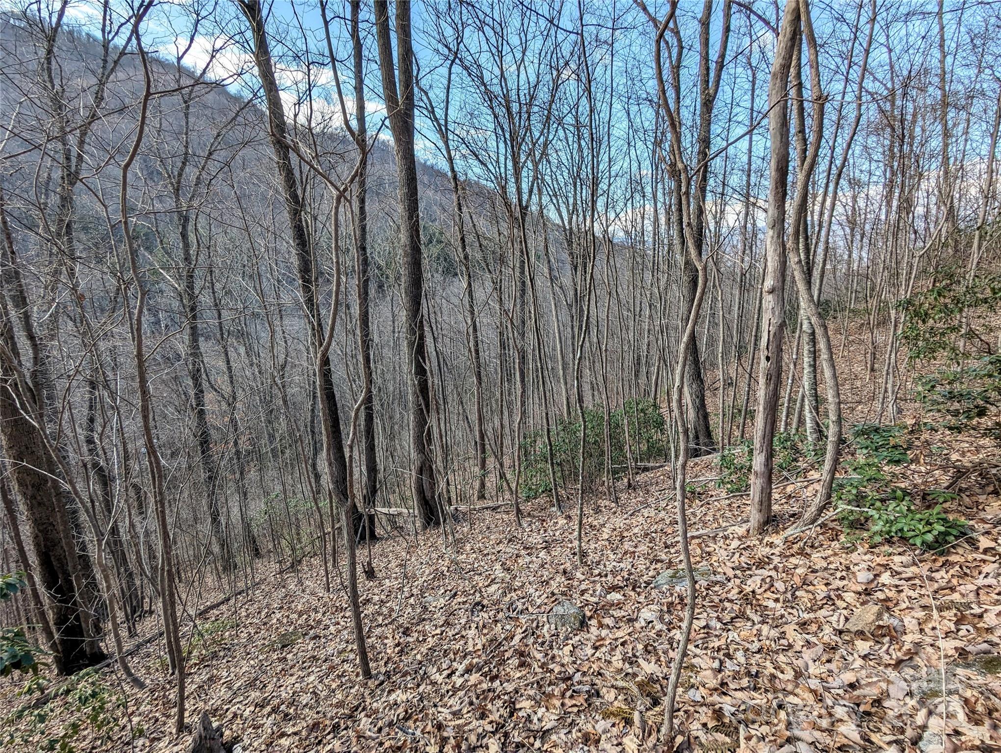 99999 Christian Creek Road Property Photo 11