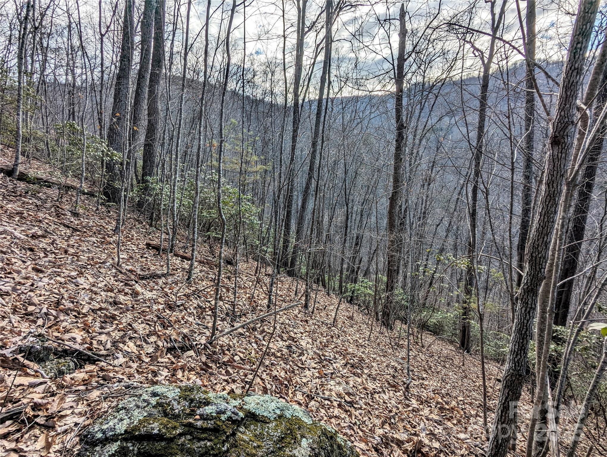 99999 Christian Creek Road Property Photo 12