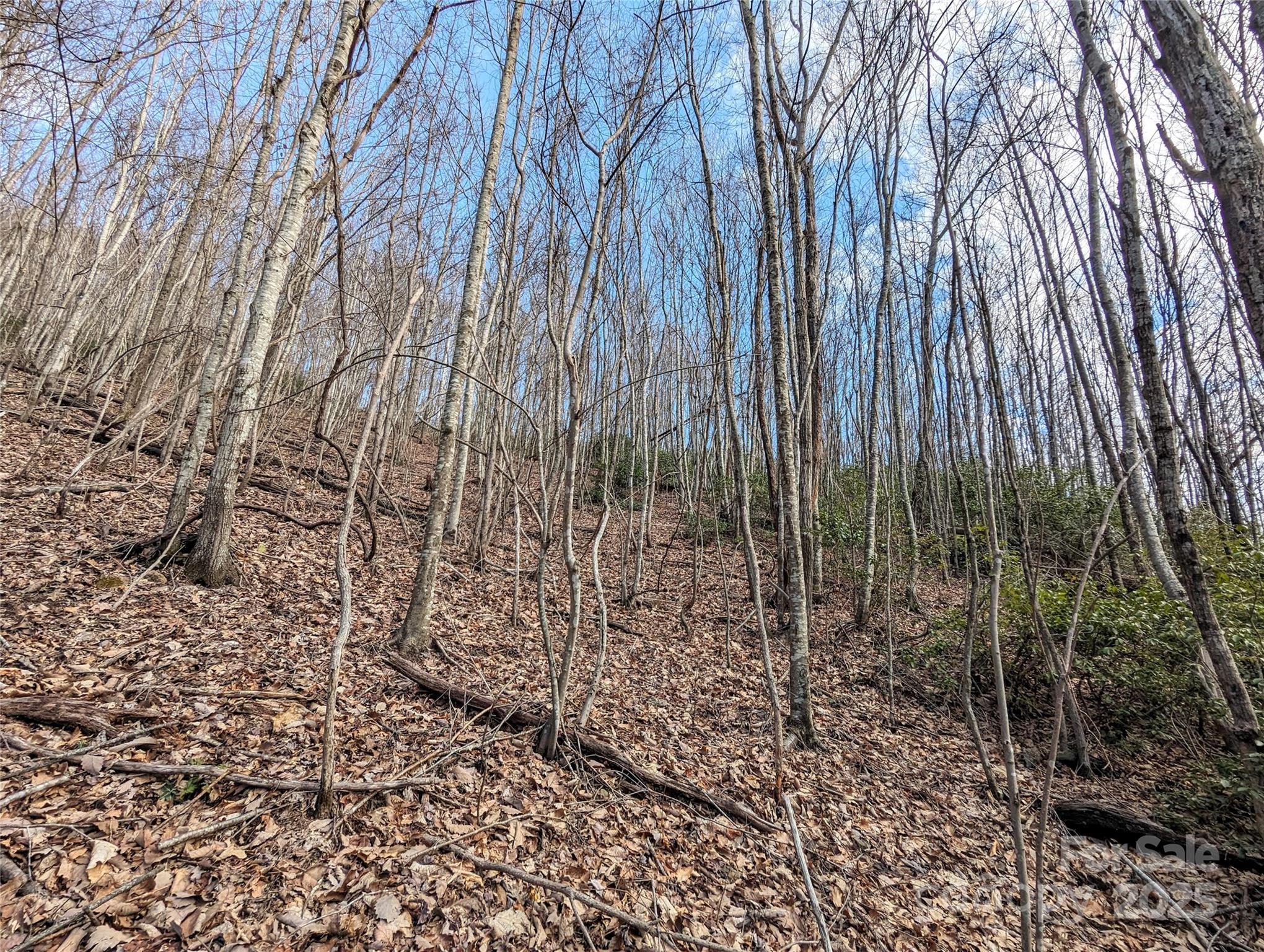 99999 Christian Creek Road Property Photo 13