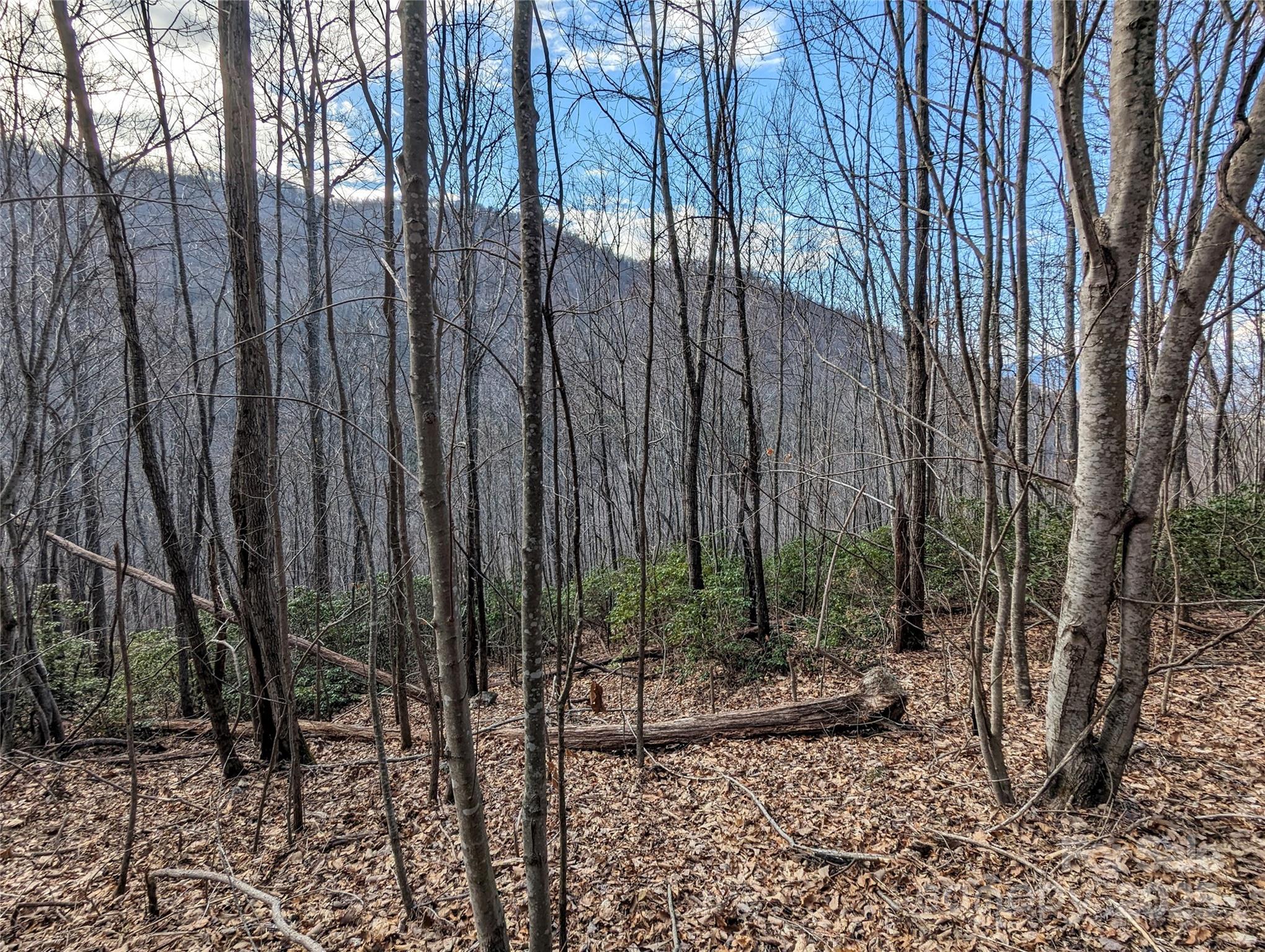 99999 Christian Creek Road Property Photo 14