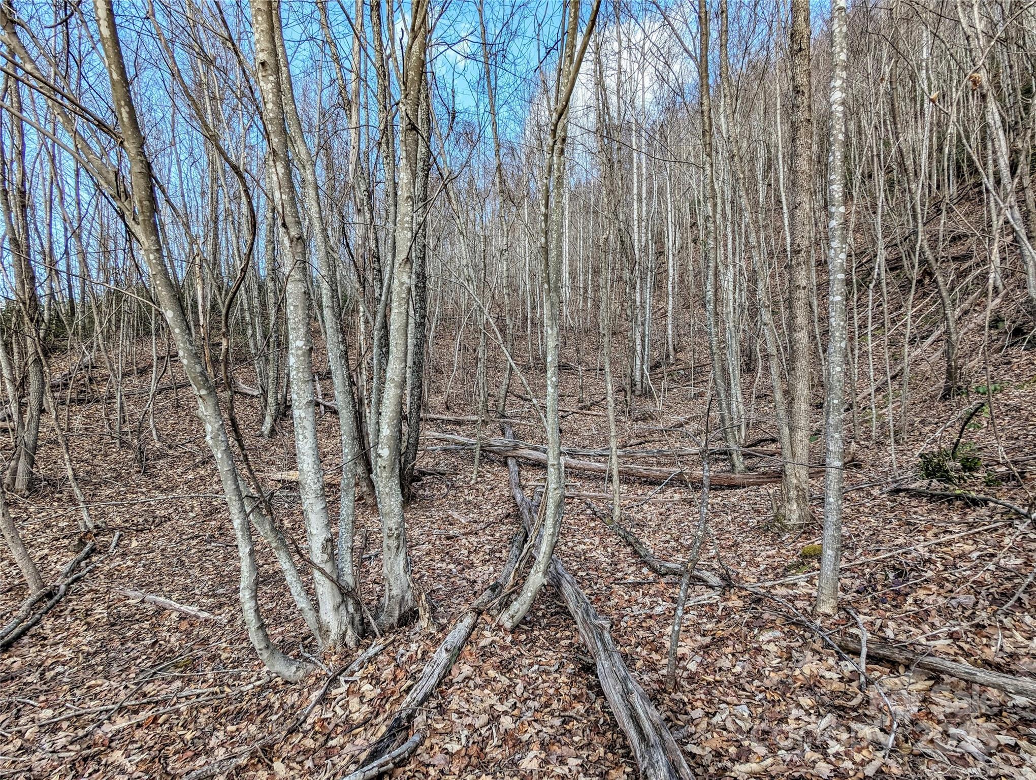 99999 Christian Creek Road Property Photo 15