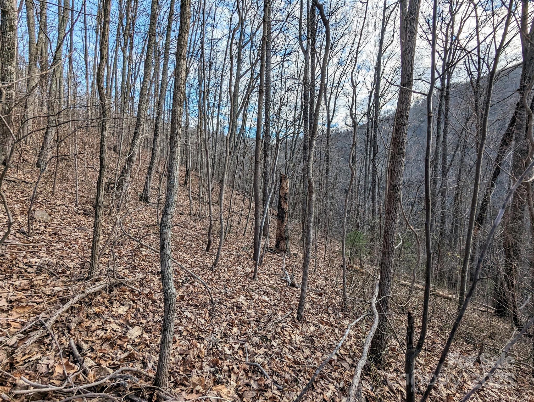 99999 Christian Creek Road Property Photo 17