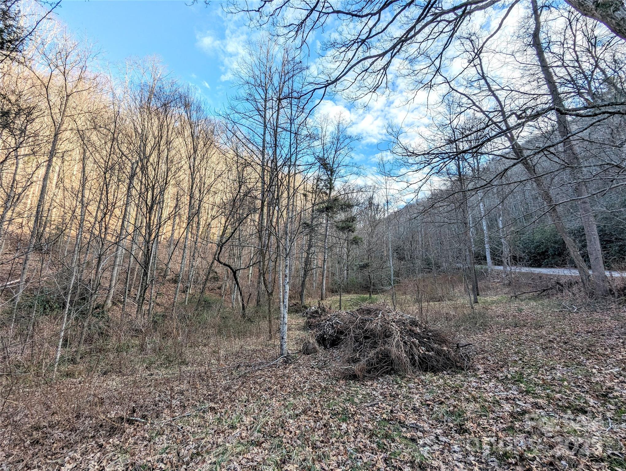 99999 Christian Creek Road Property Photo 23
