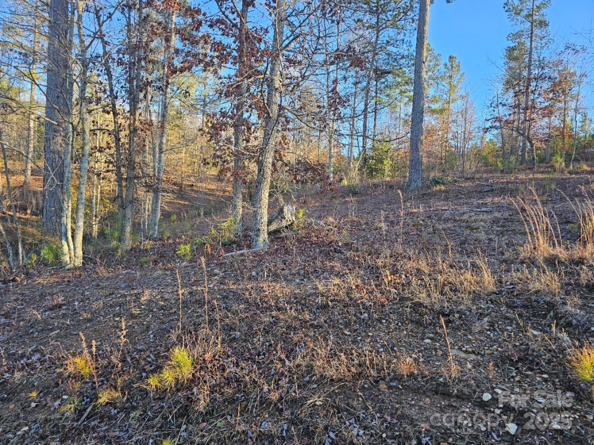 2167 Inlet Shore Road Property Photo 1