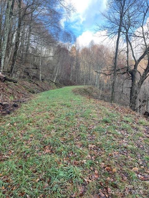 0 Hardwood Cove 100 Property Photo 2