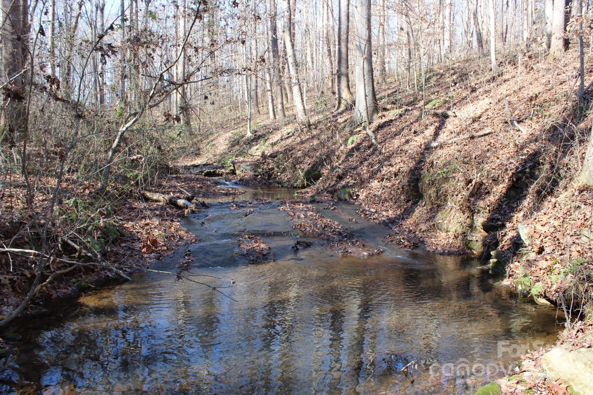 338 Piney Grove Road Property Photo