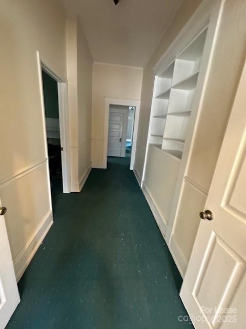 229 Davie Avenue Property Photo 8