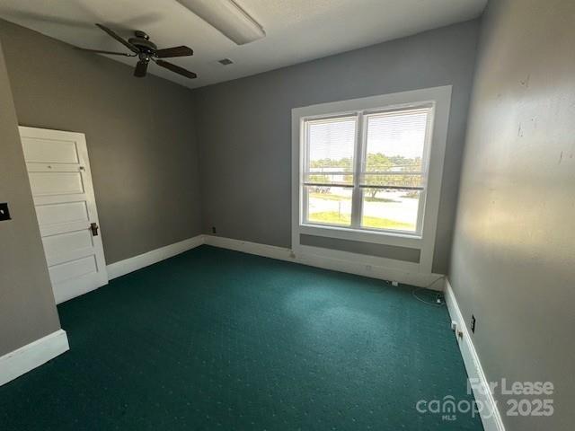 229 Davie Avenue Property Photo 9