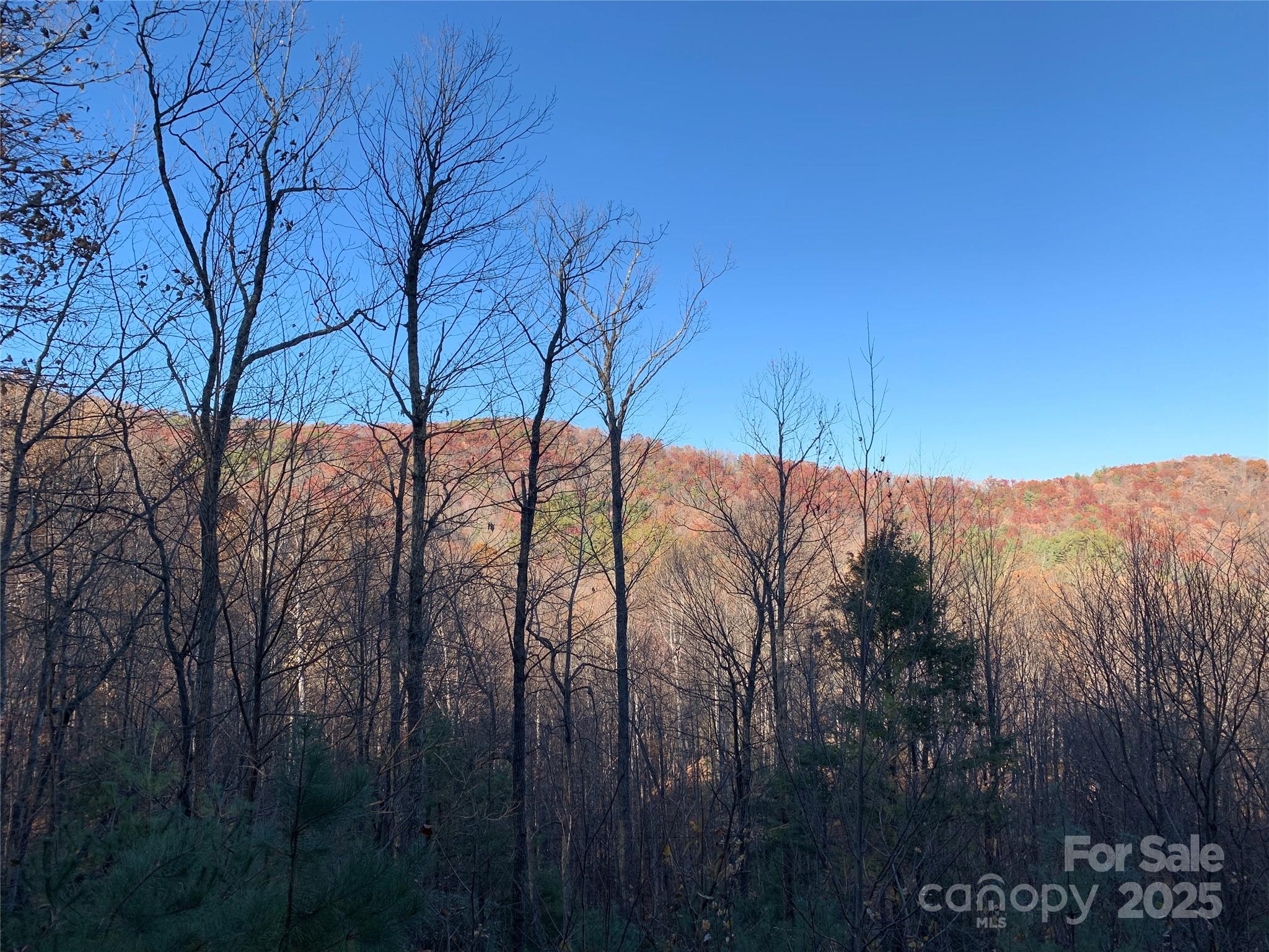 Tbd (lot 19) Wolf Den Lane Property Photo