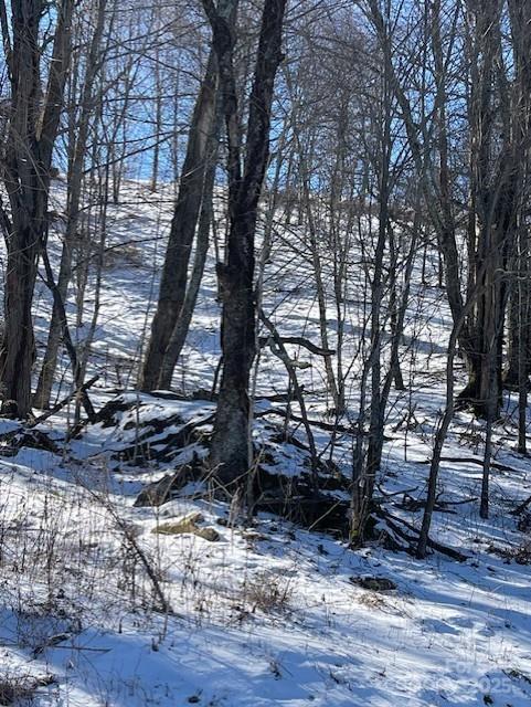 00 Wandering Trail 98 Property Photo 2