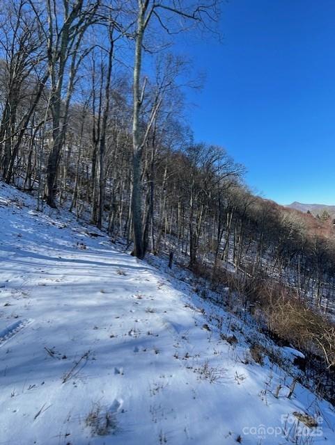 00 Wandering Trail 98 Property Photo 4