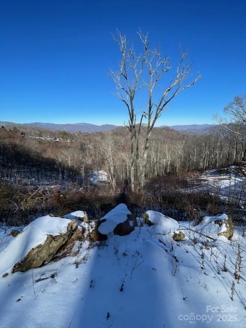 00 Wandering Trail 98 Property Photo 10