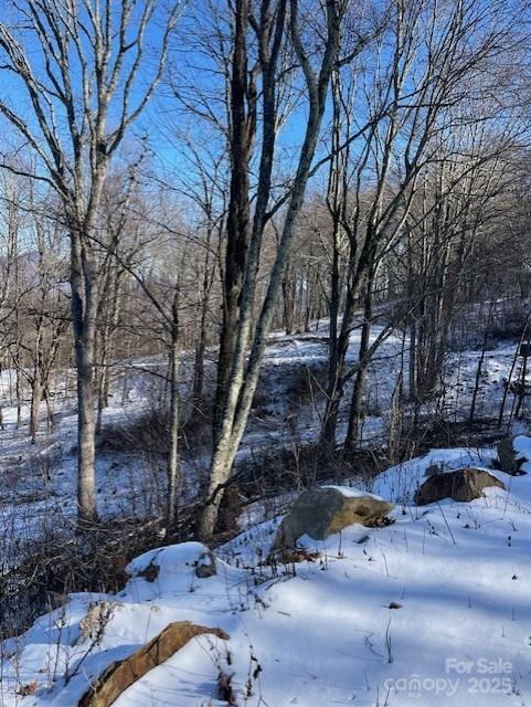 00 Wandering Trail 98 Property Photo 12