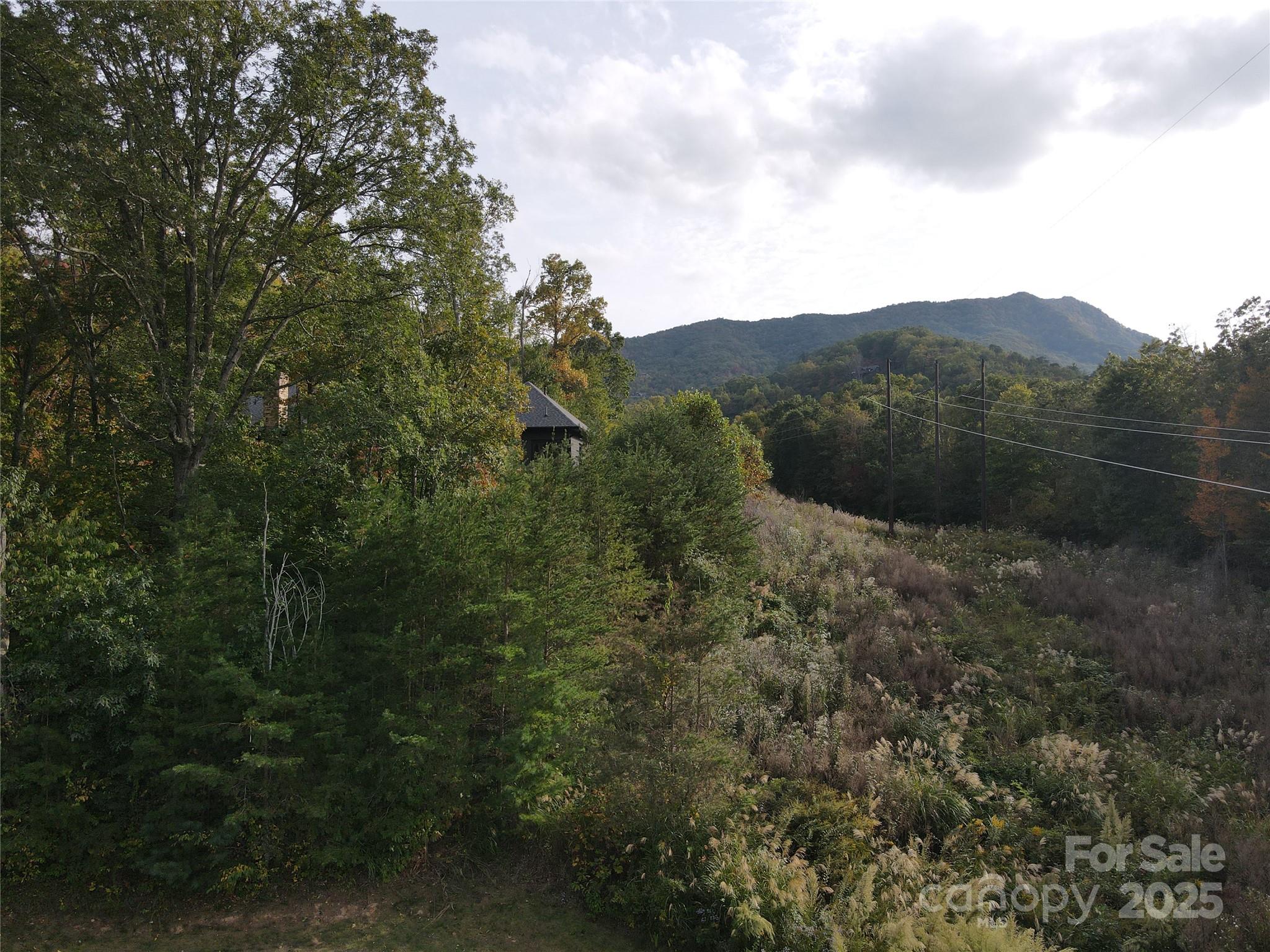 108 Cottage Settings Lane Property Photo 22