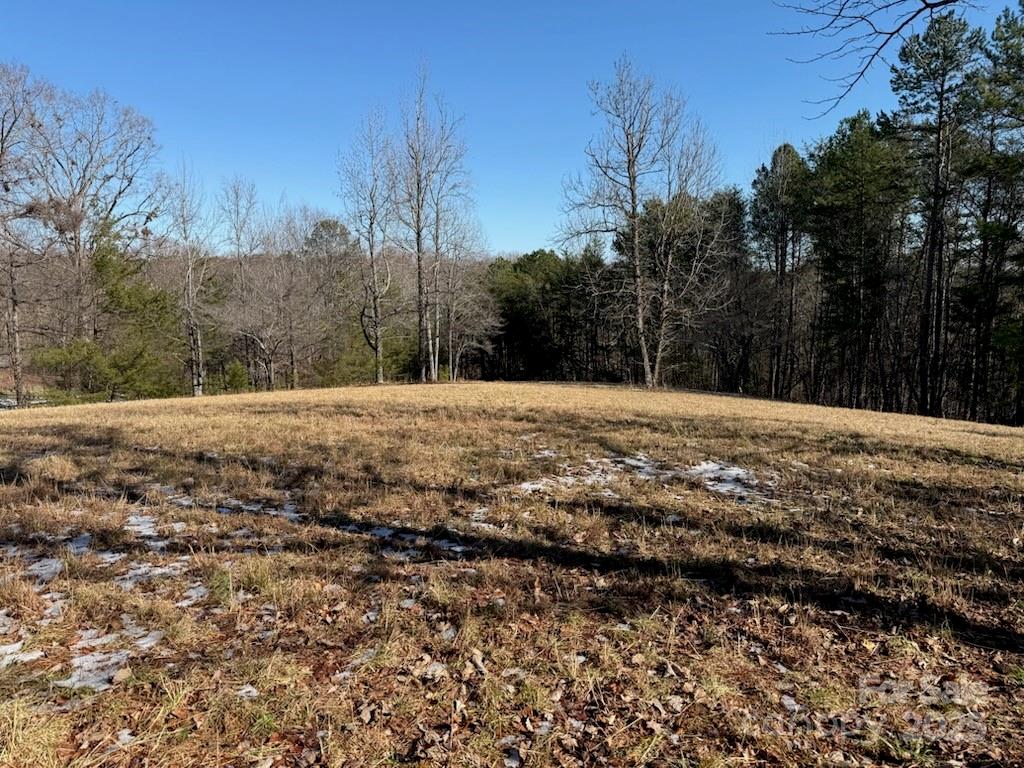0 Springbrook Lane Property Photo