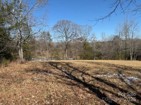 0 Springbrook Lane Property Photo 2