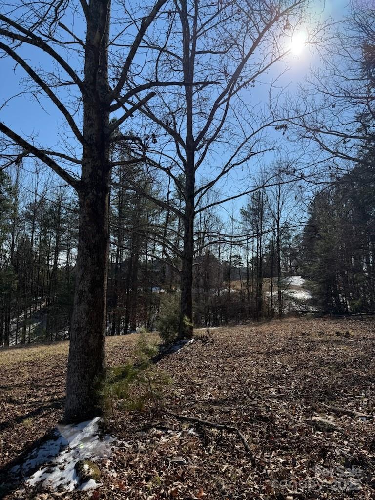0 Springbrook Lane Property Photo 4