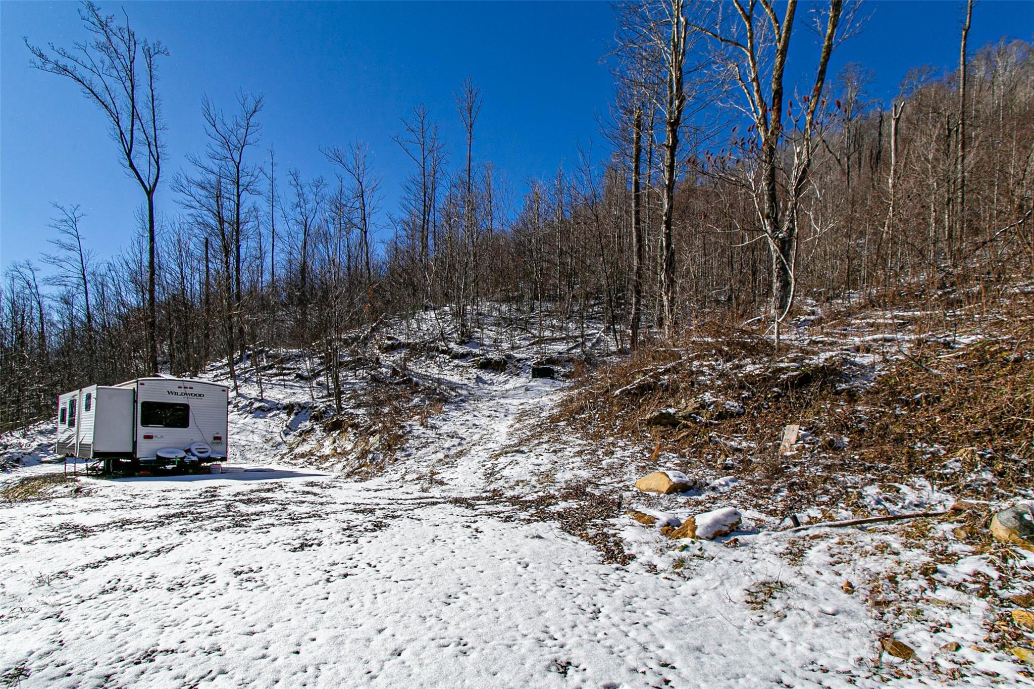 1201 Simms Fork Road Property Photo 6