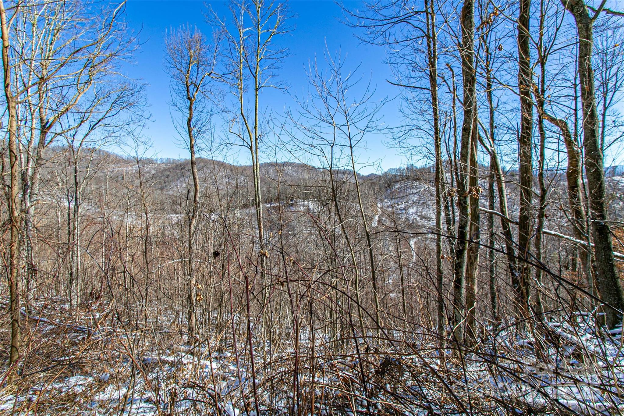 1201 Simms Fork Road Property Photo 7