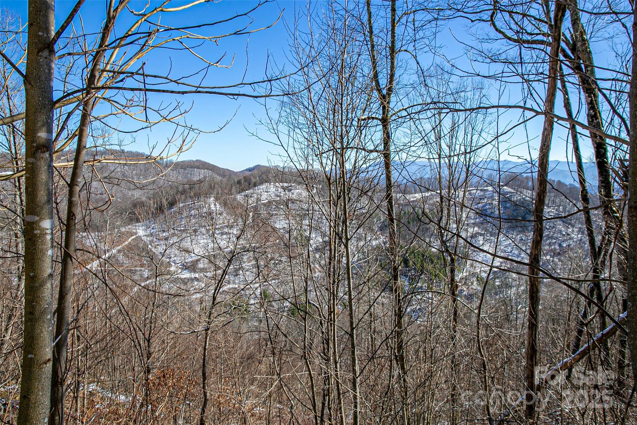 1201 Simms Fork Road Property Photo 8