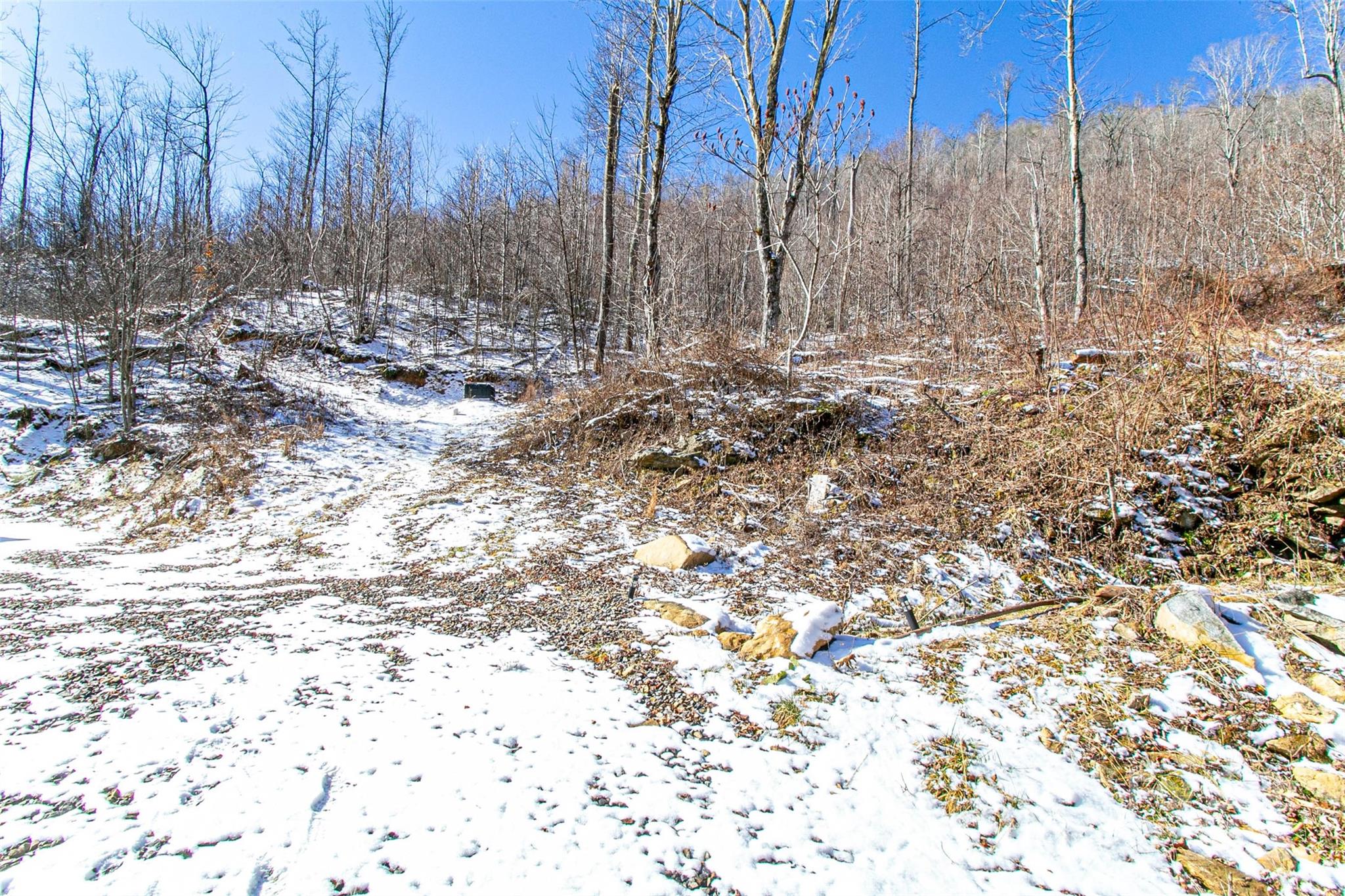 1201 Simms Fork Road Property Photo 9