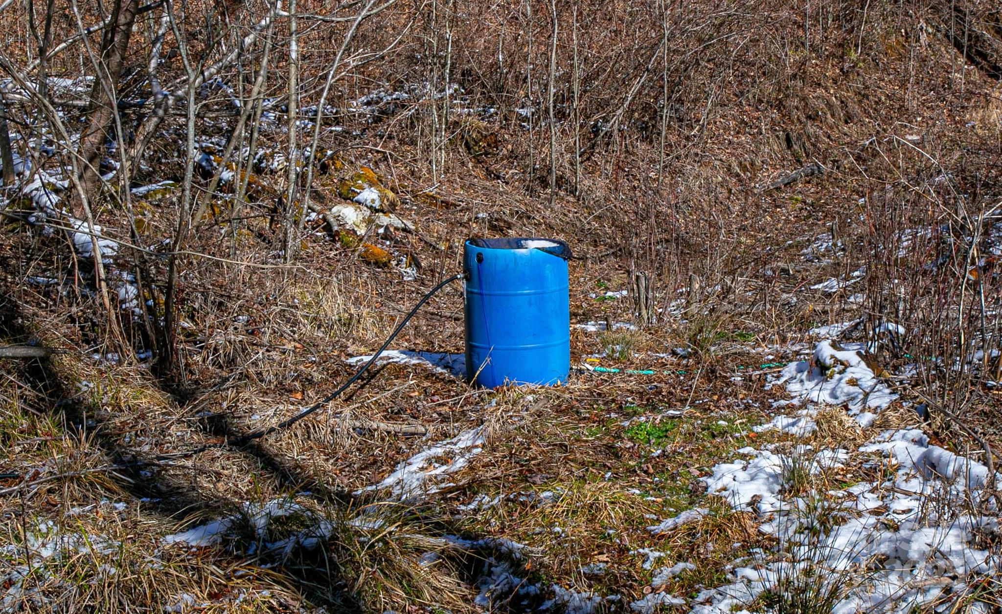 1201 Simms Fork Road Property Photo 11