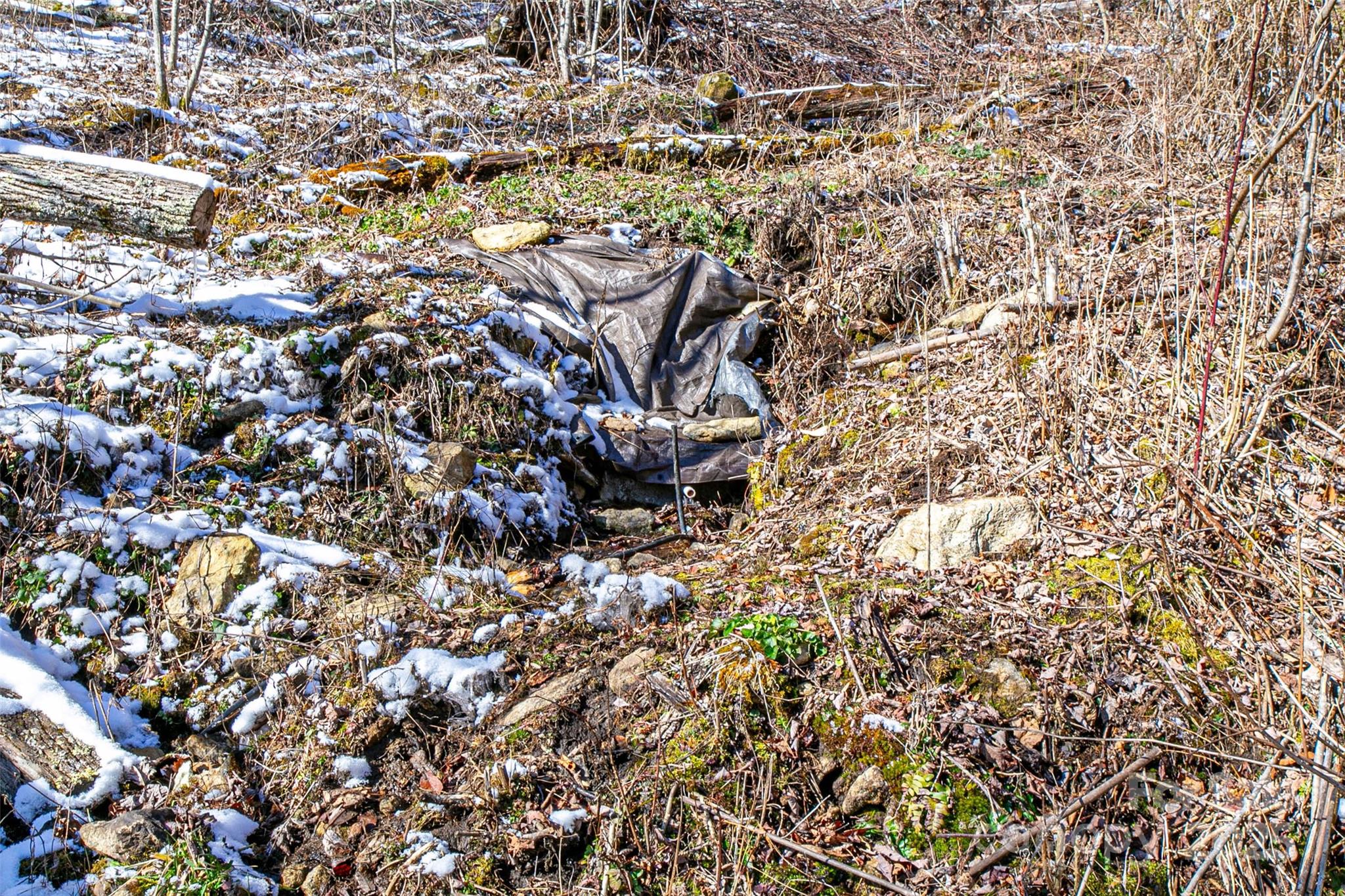 1201 Simms Fork Road Property Photo 13