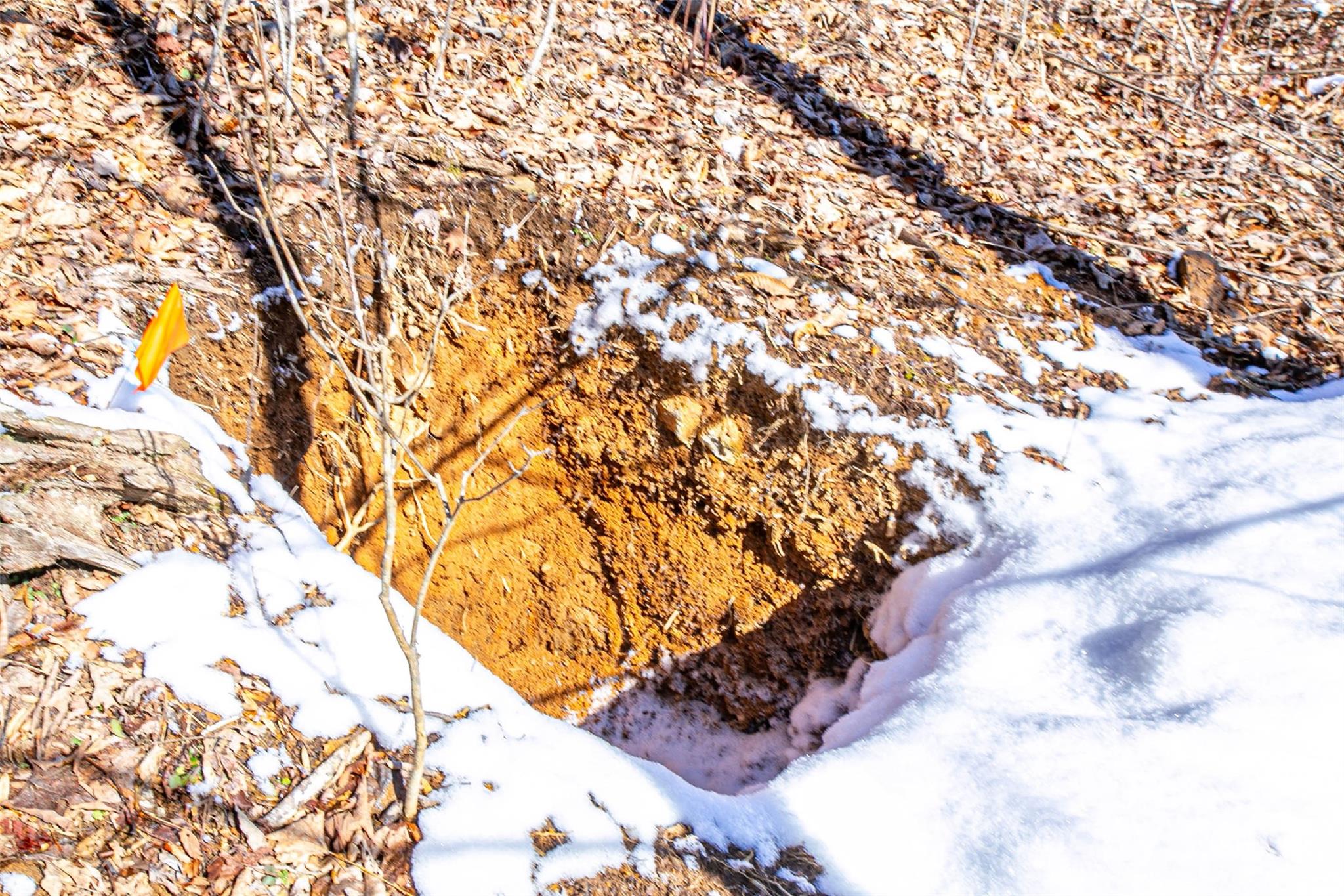 1201 Simms Fork Road Property Photo 14