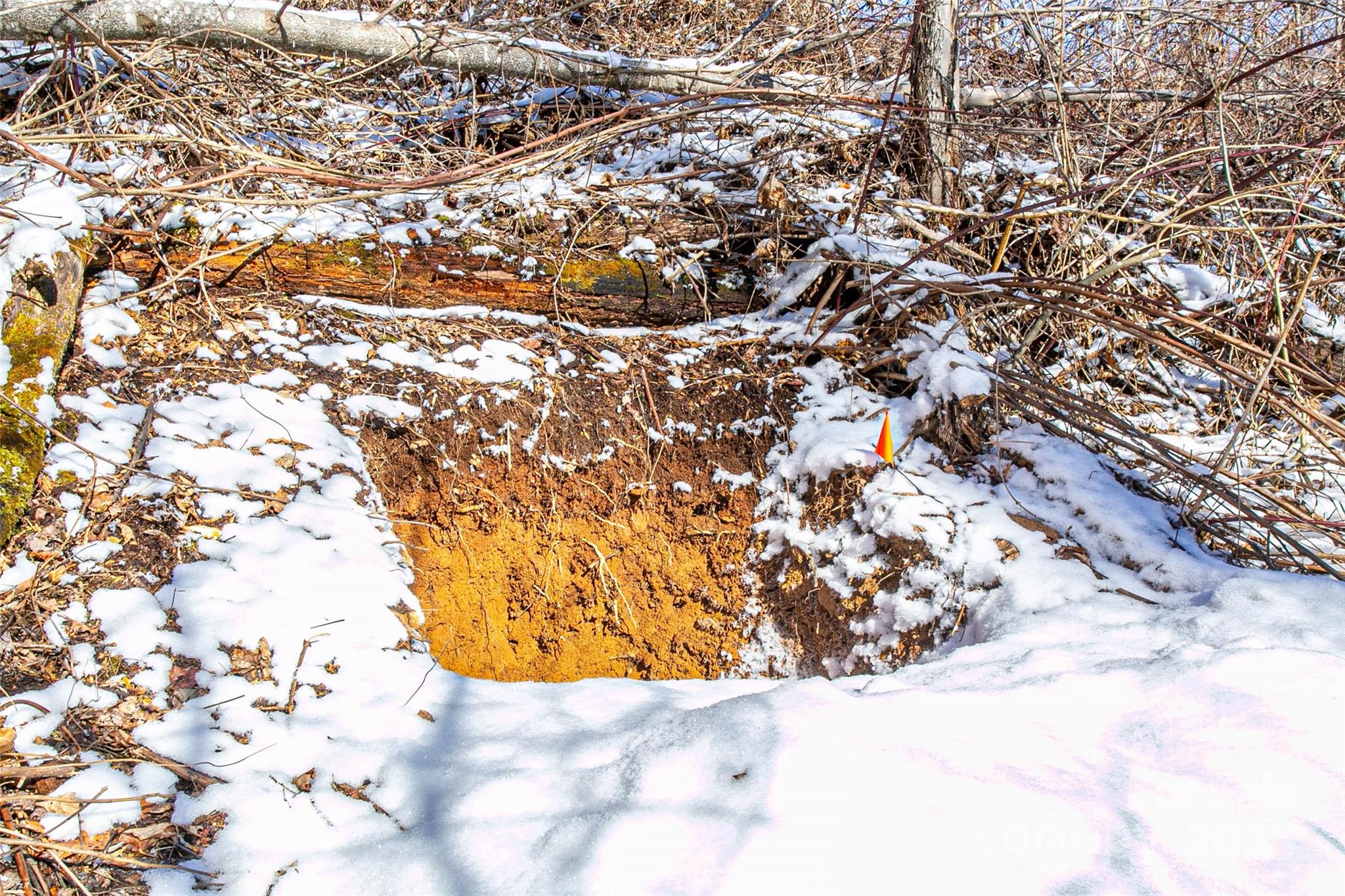 1201 Simms Fork Road Property Photo 15