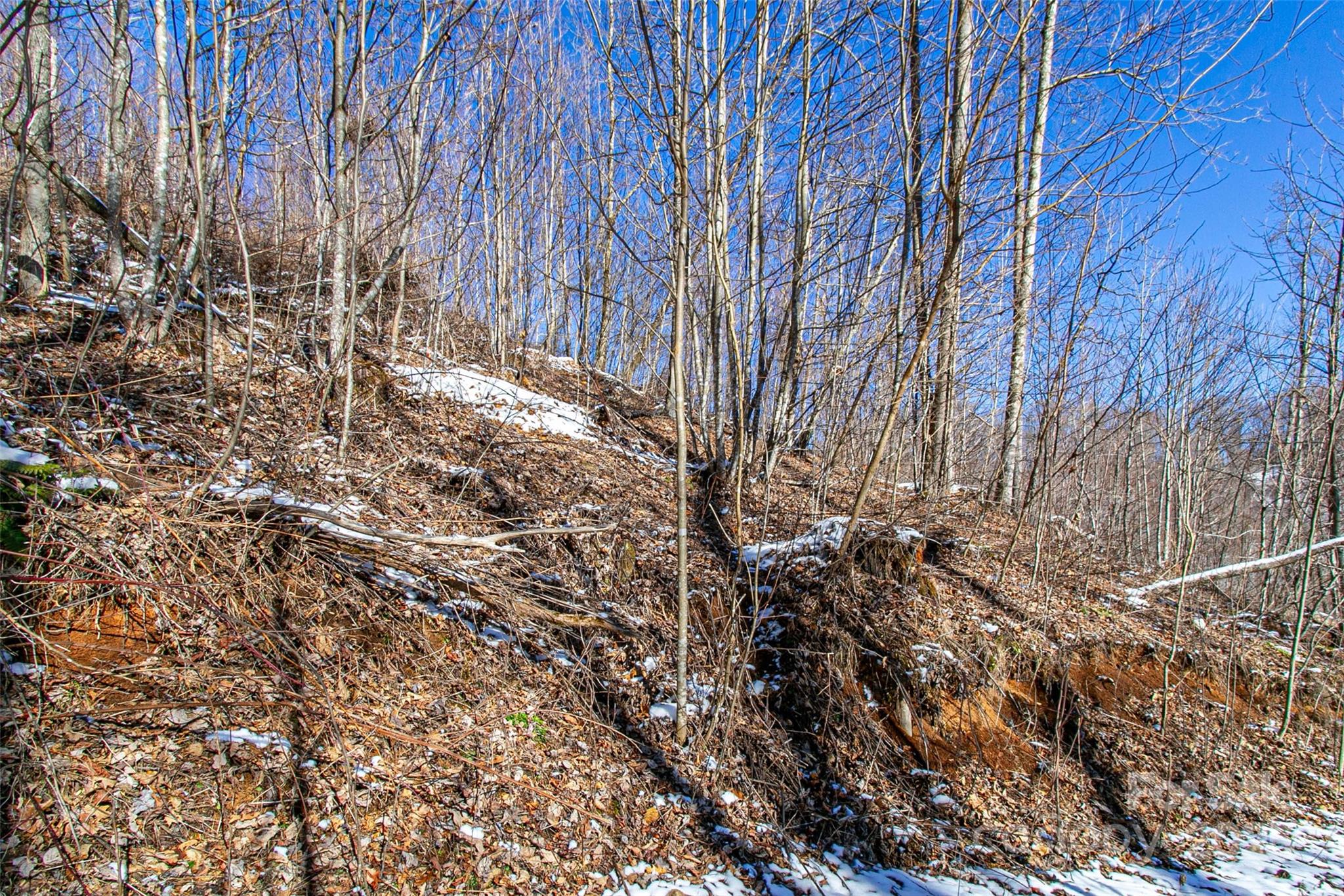 1201 Simms Fork Road Property Photo 17