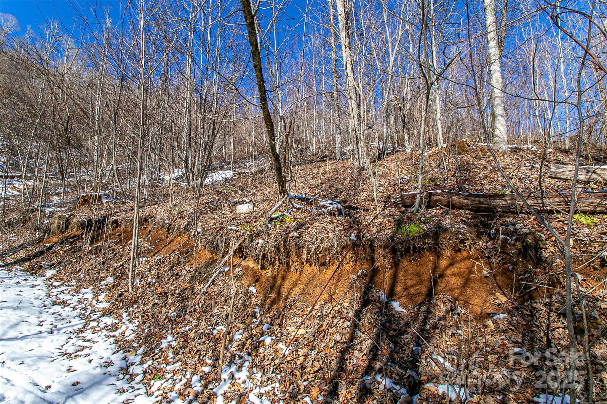 1201 Simms Fork Road Property Photo 18