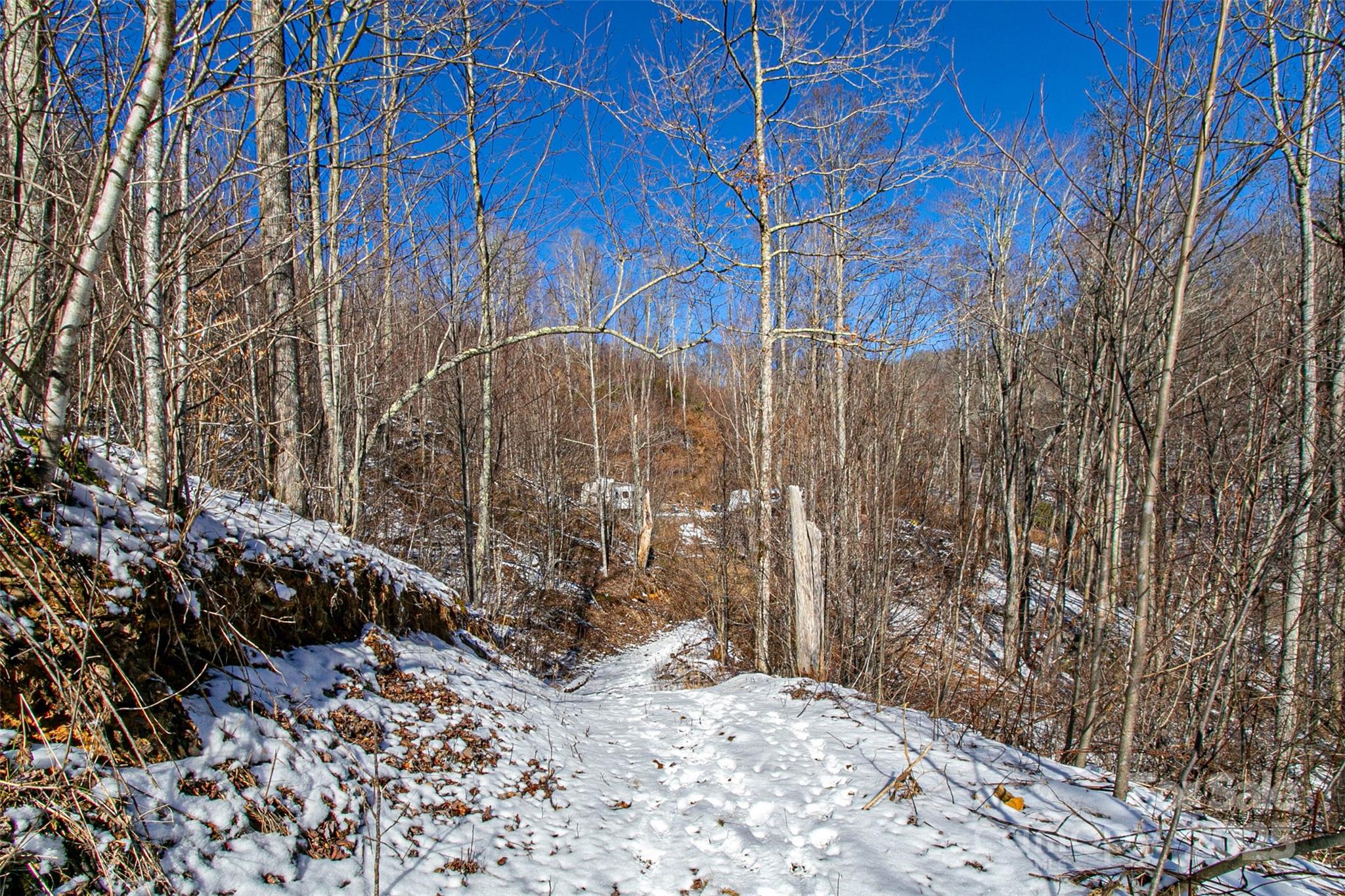 1201 Simms Fork Road Property Photo 19