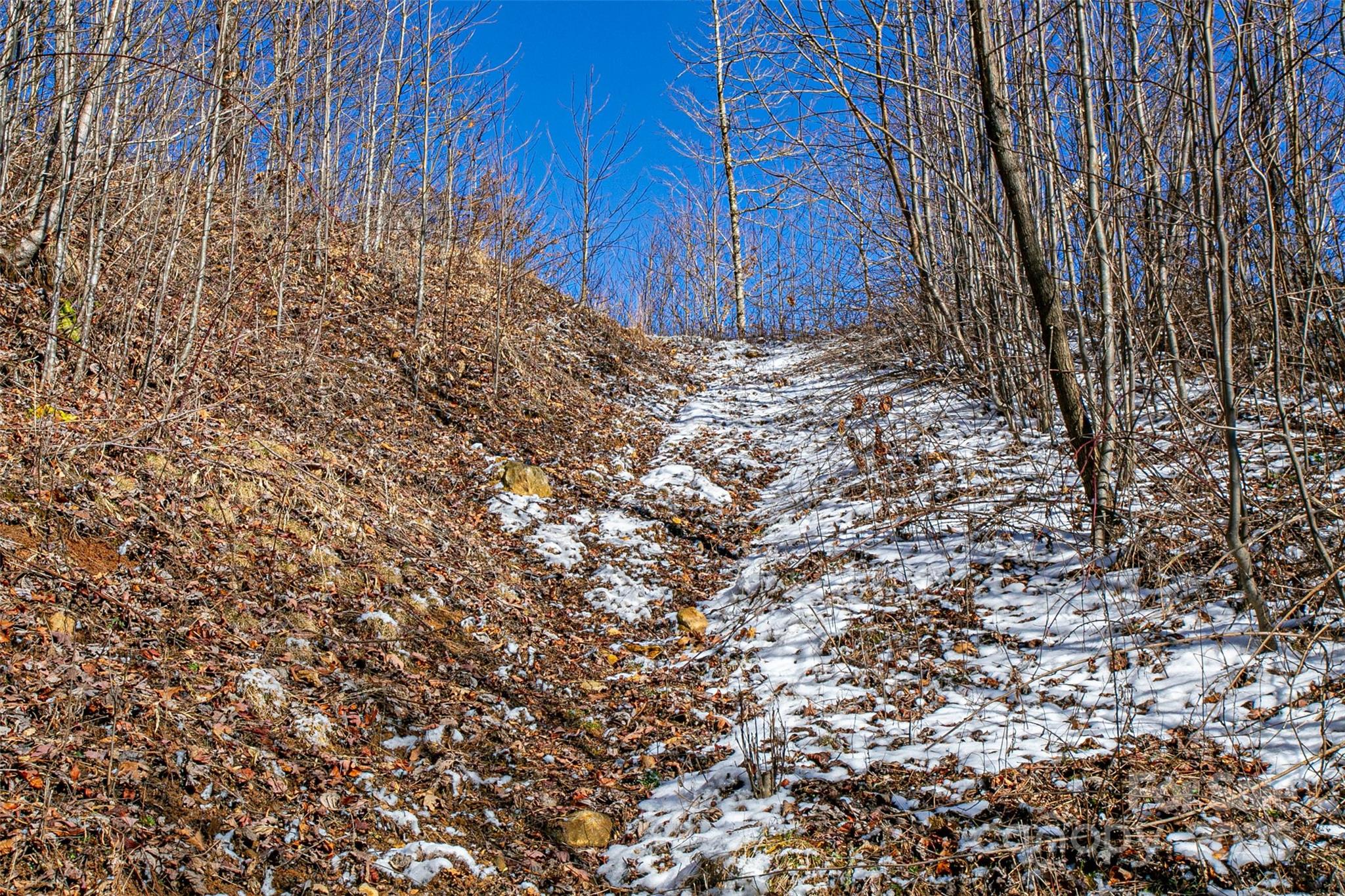1201 Simms Fork Road Property Photo 21