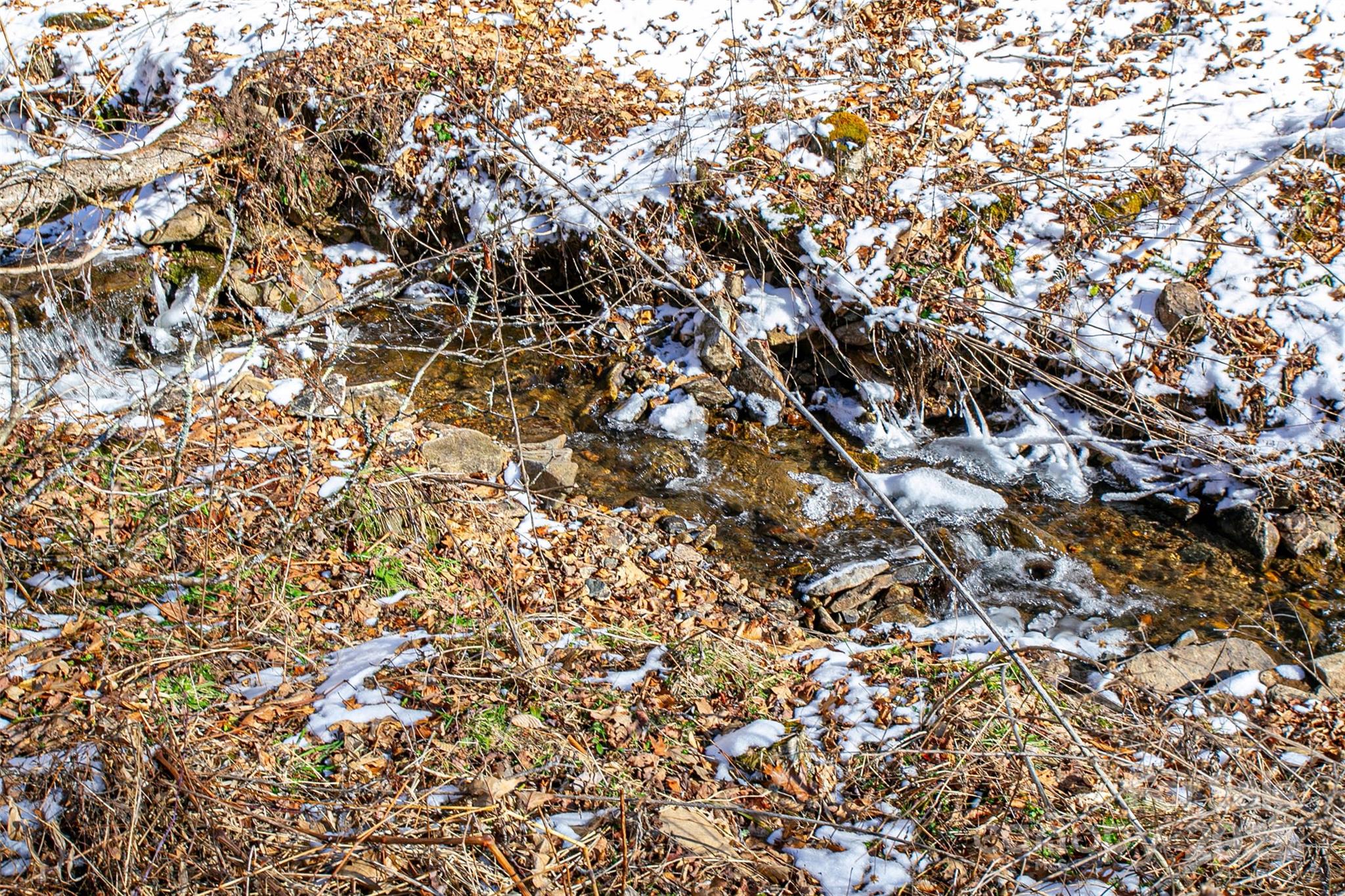 1201 Simms Fork Road Property Photo 25