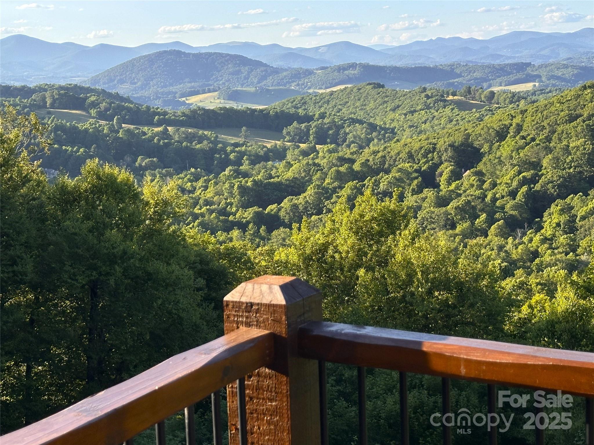 419 Antler Trail Property Photo 2