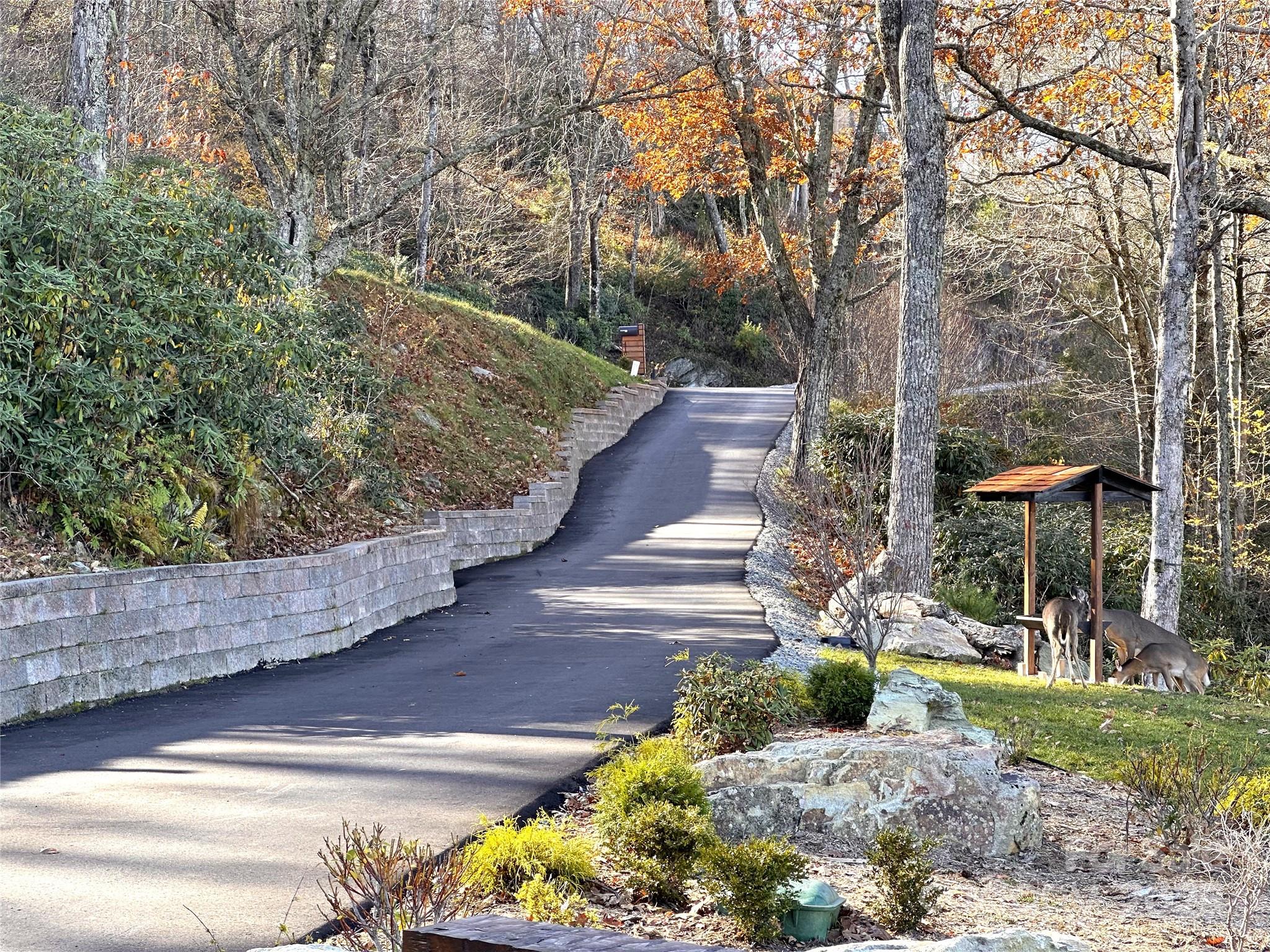 419 Antler Trail Property Photo 5