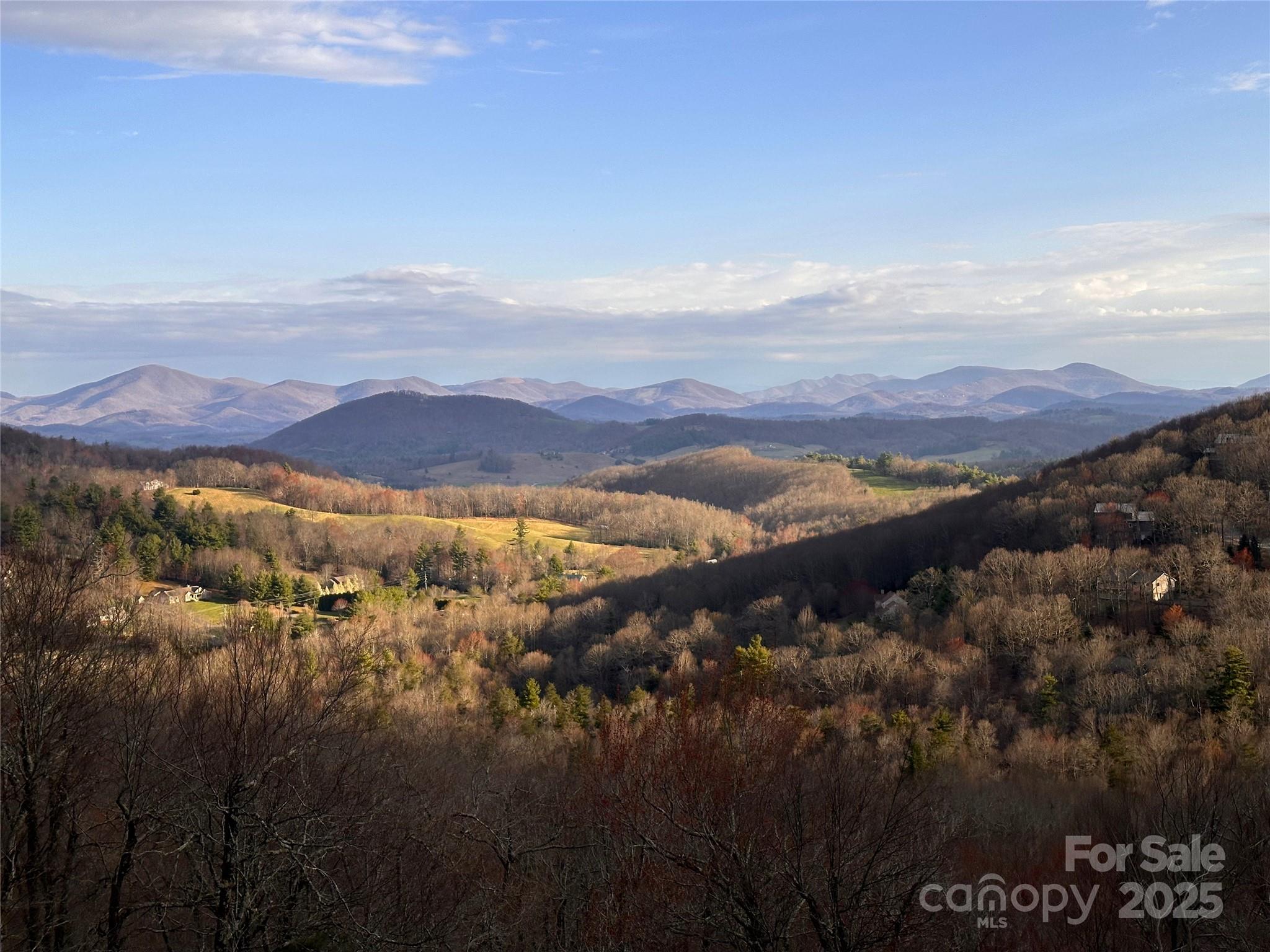 419 Antler Trail Property Photo 23