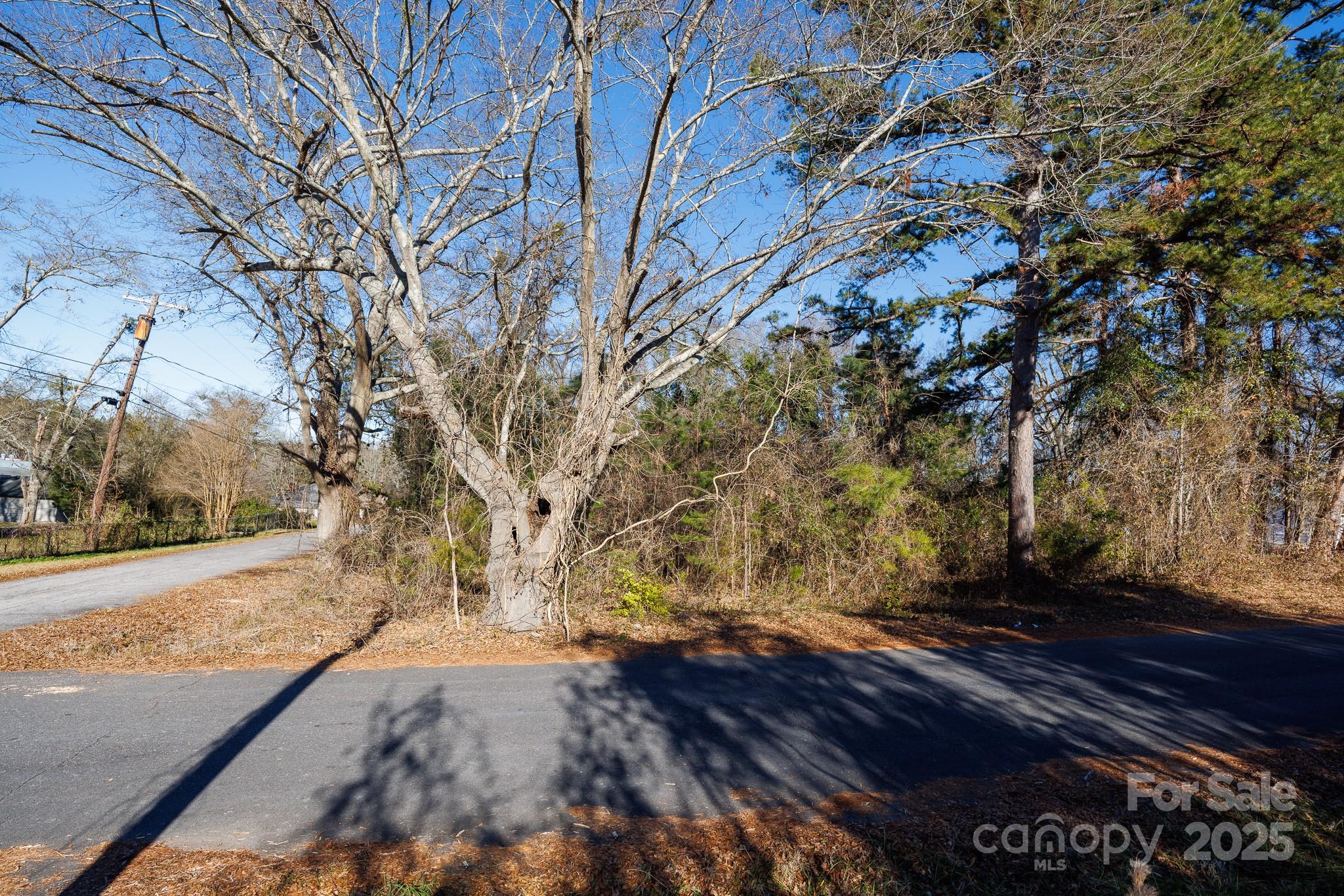 7 Wilson Avenue Property Photo 5