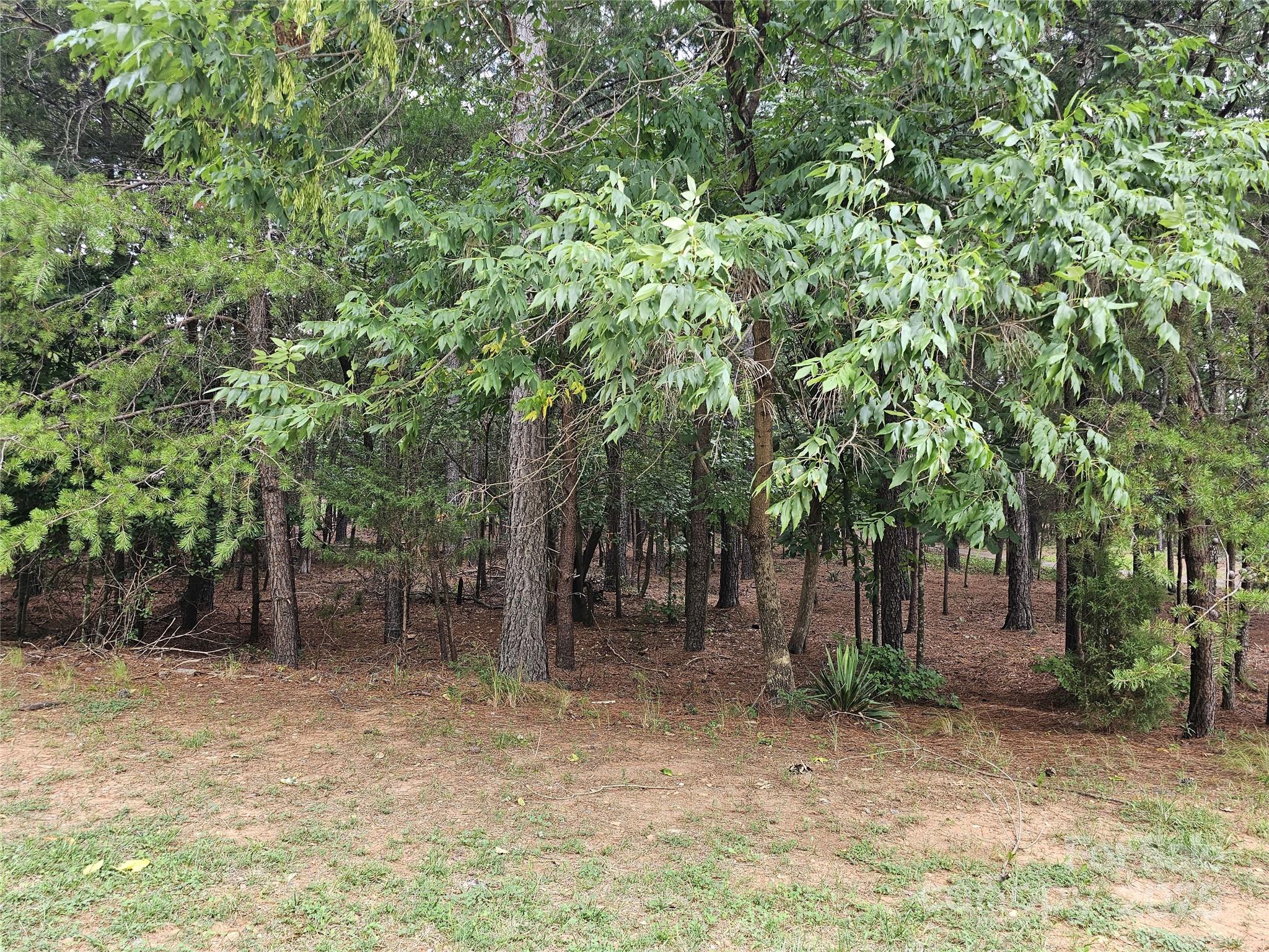 5149 Watermead Lane Property Photo 4