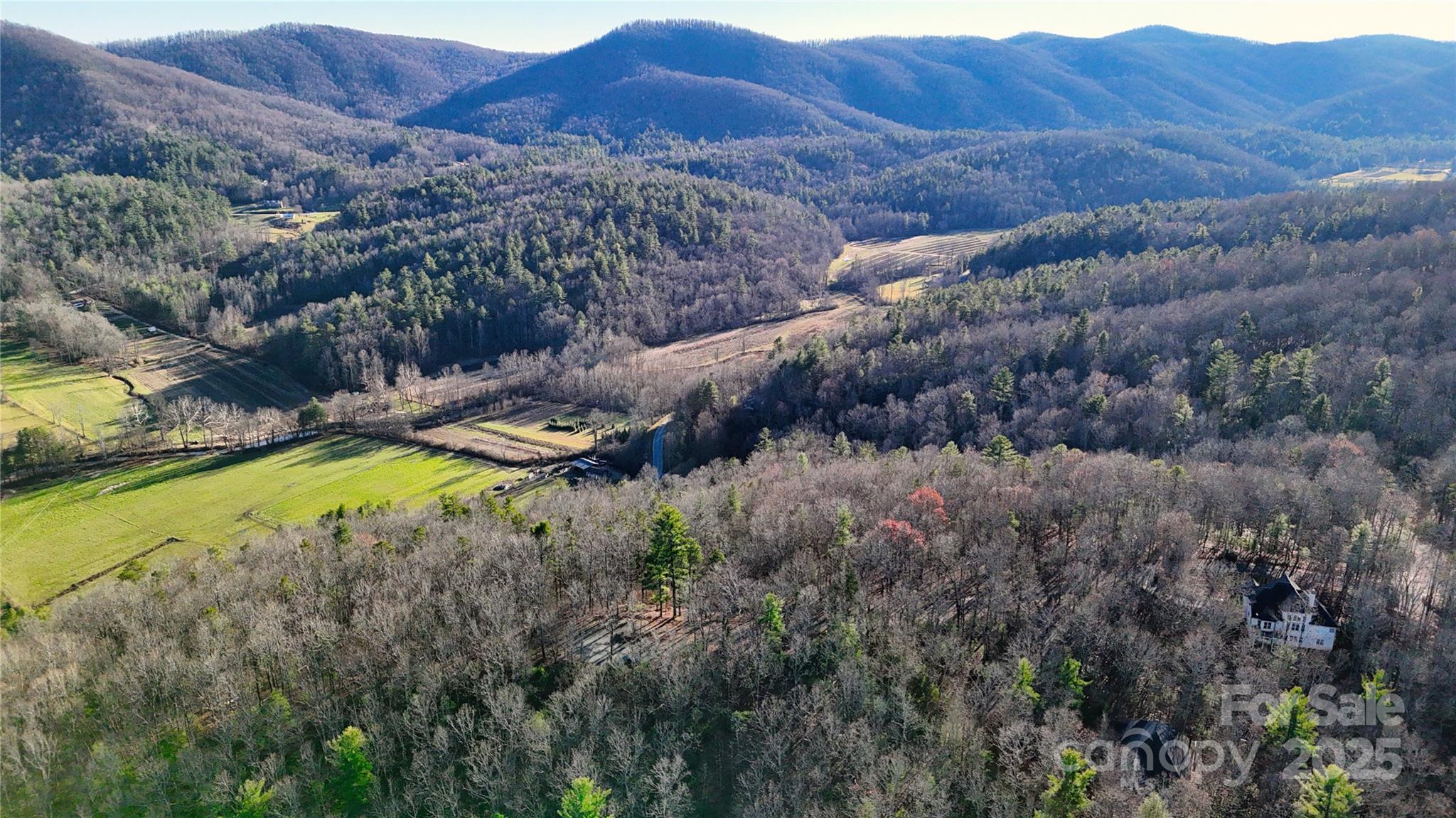 130 Brown Bear Ridge Trail Property Photo 2