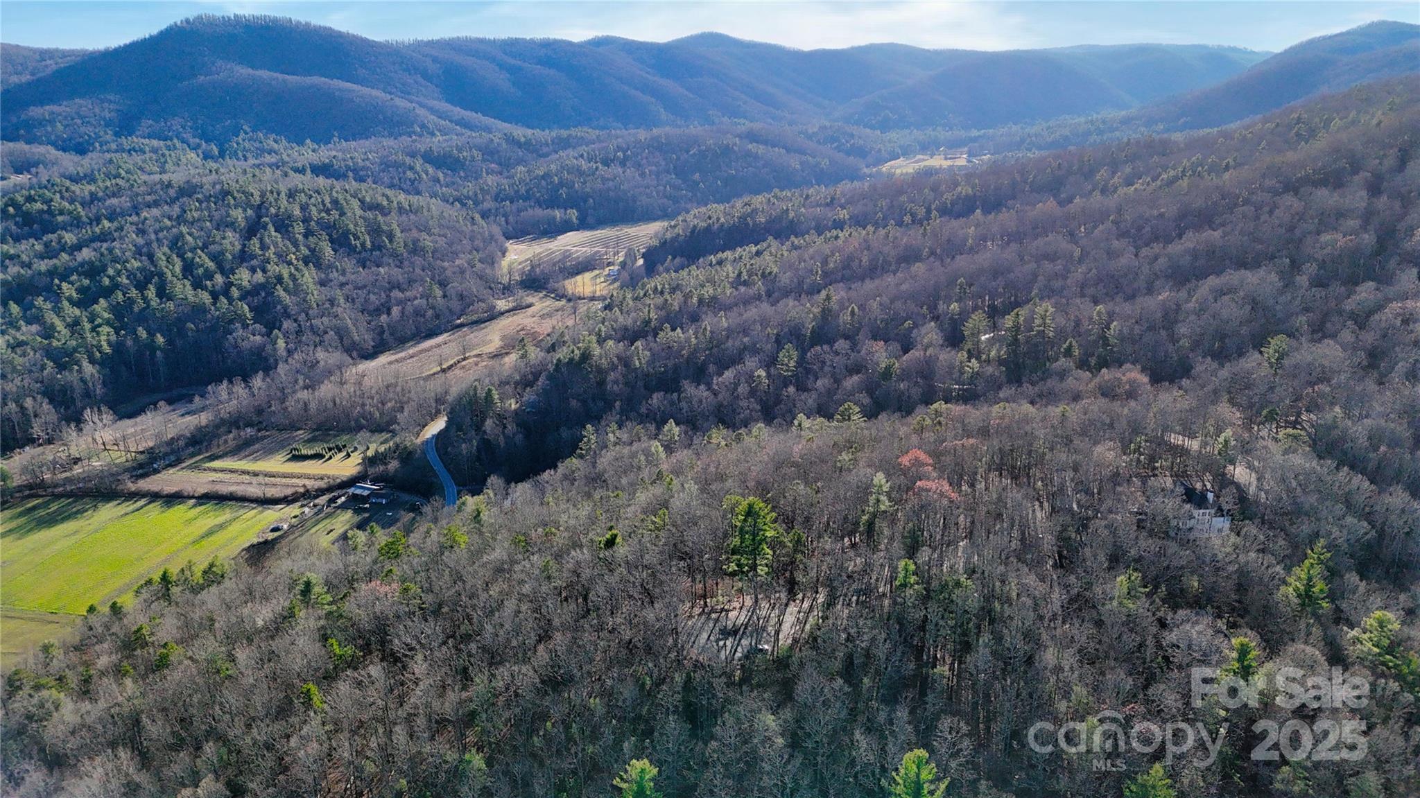 130 Brown Bear Ridge Trail Property Photo 3