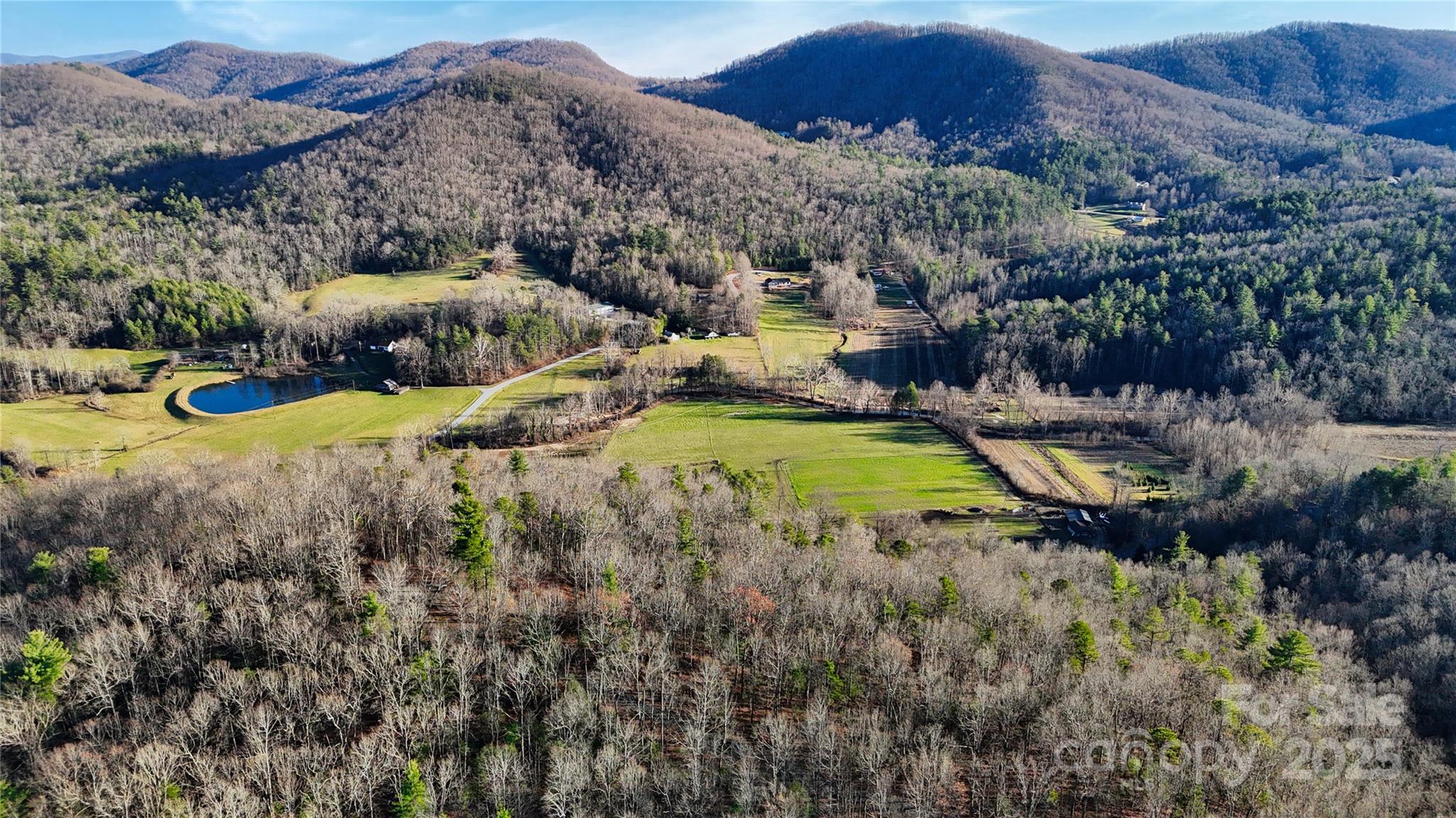 130 Brown Bear Ridge Trail Property Photo 4