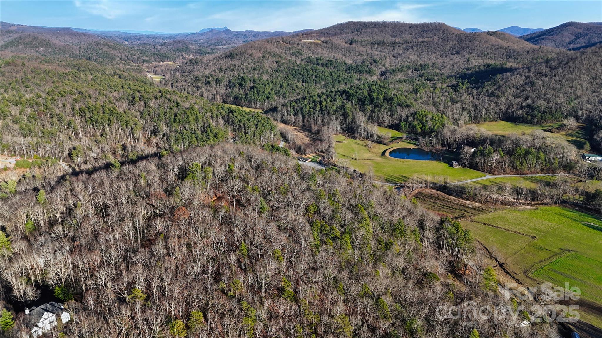 130 Brown Bear Ridge Trail Property Photo 5