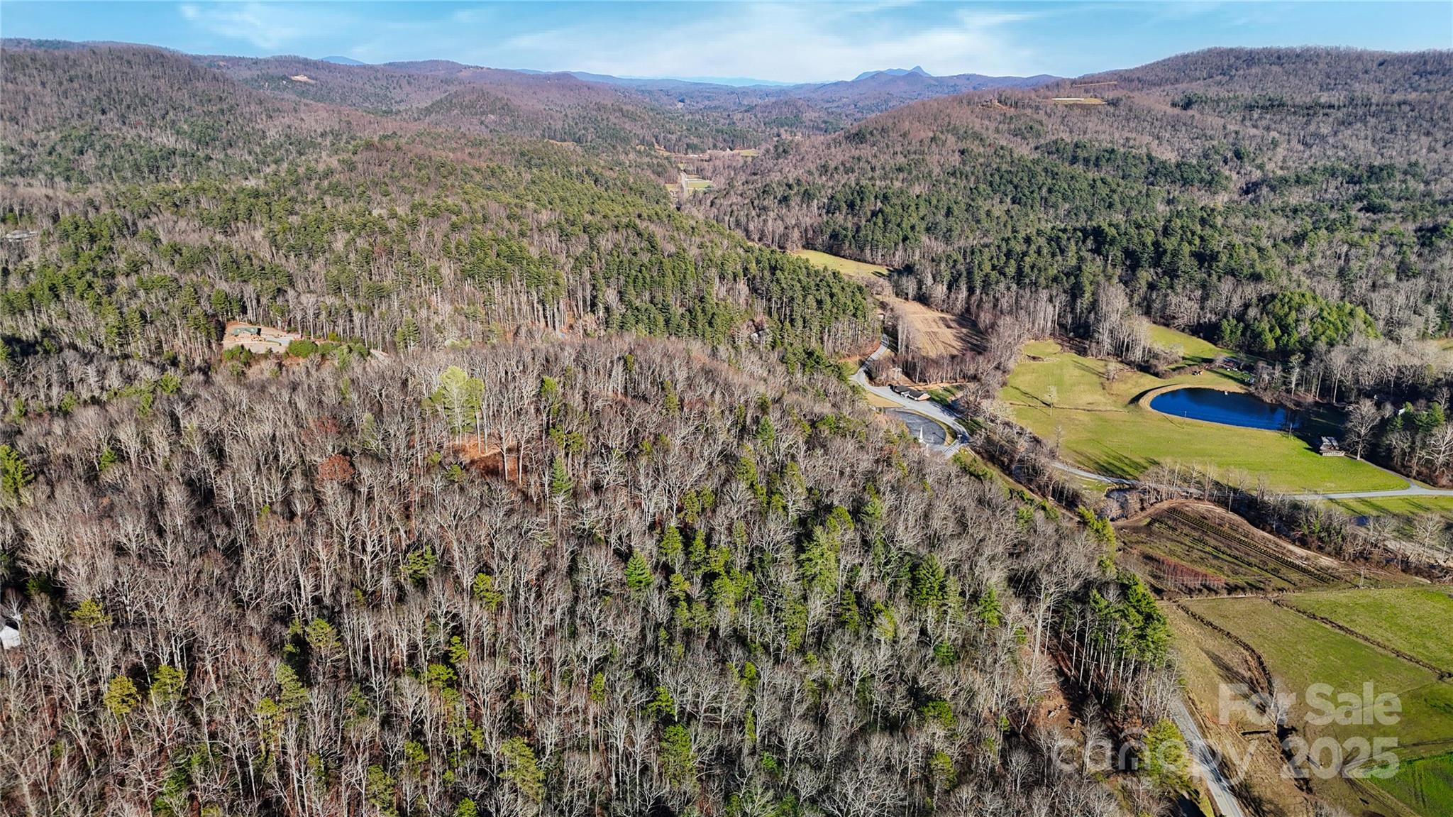 130 Brown Bear Ridge Trail Property Photo 6