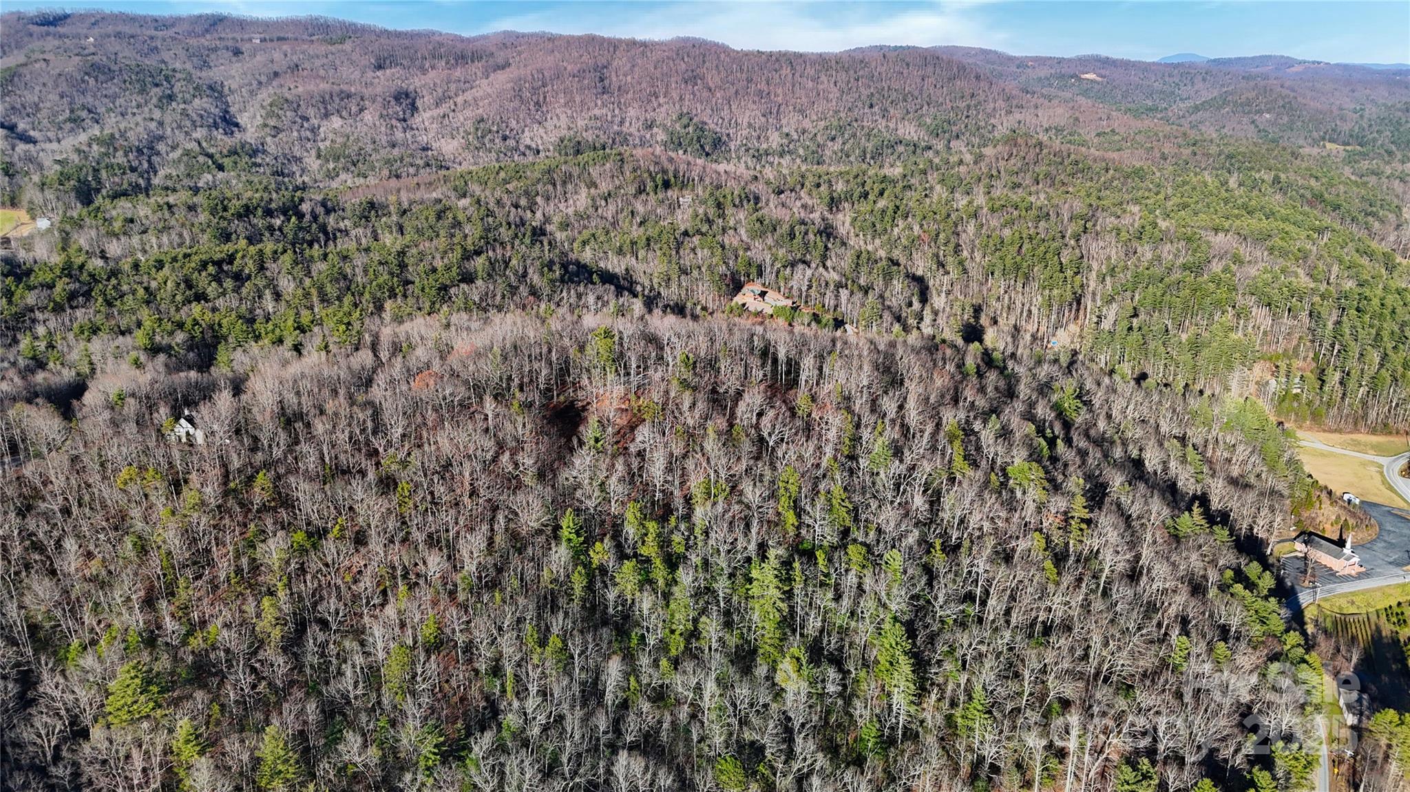 130 Brown Bear Ridge Trail Property Photo 7